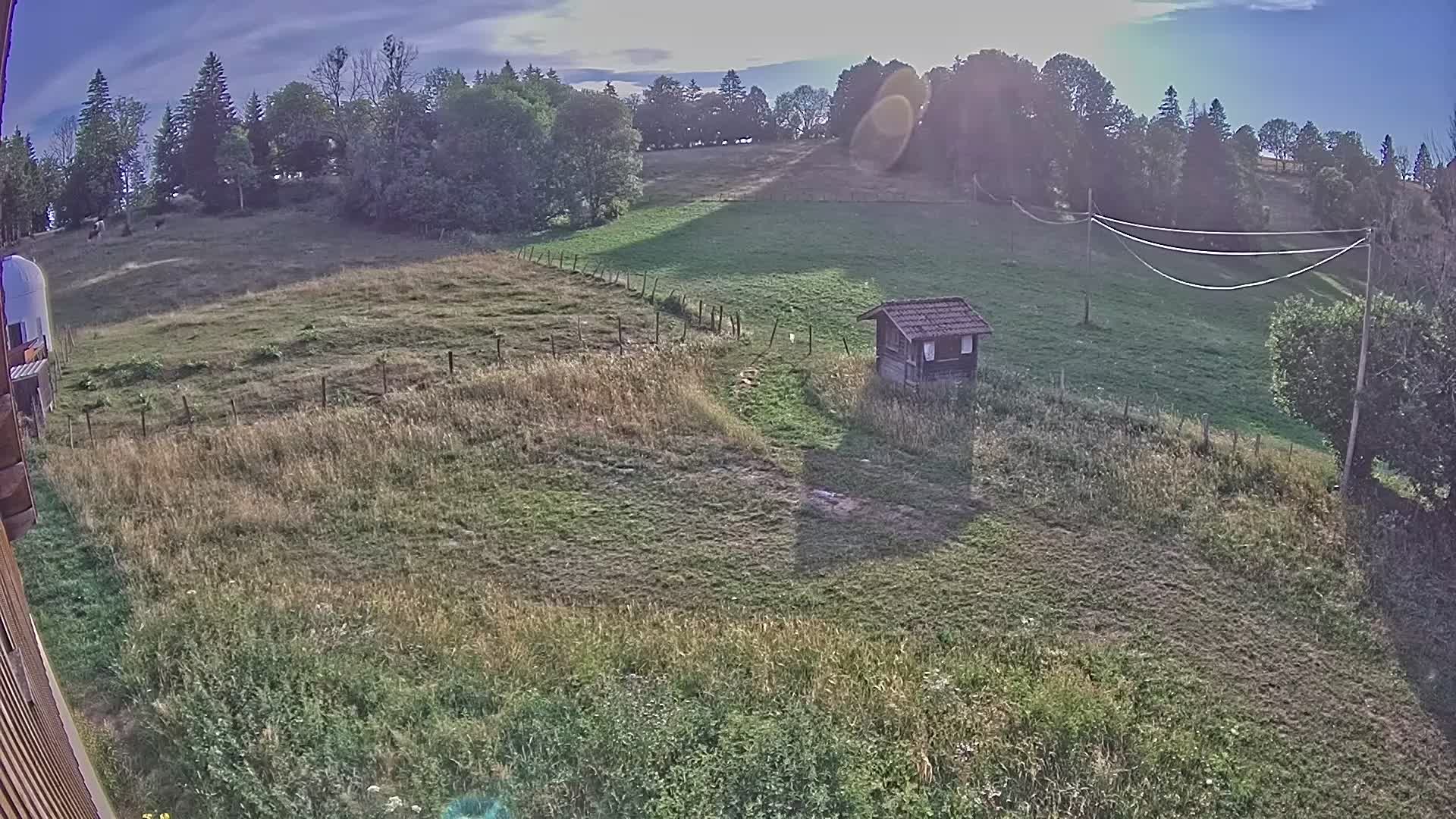 Webcam Image