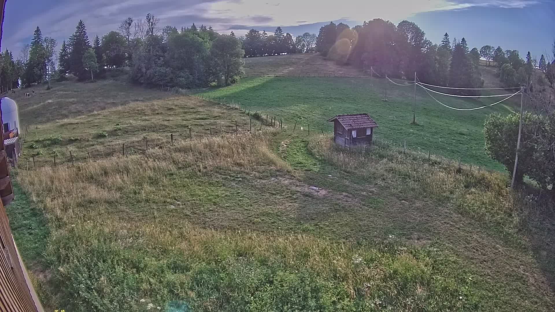 Webcam Image