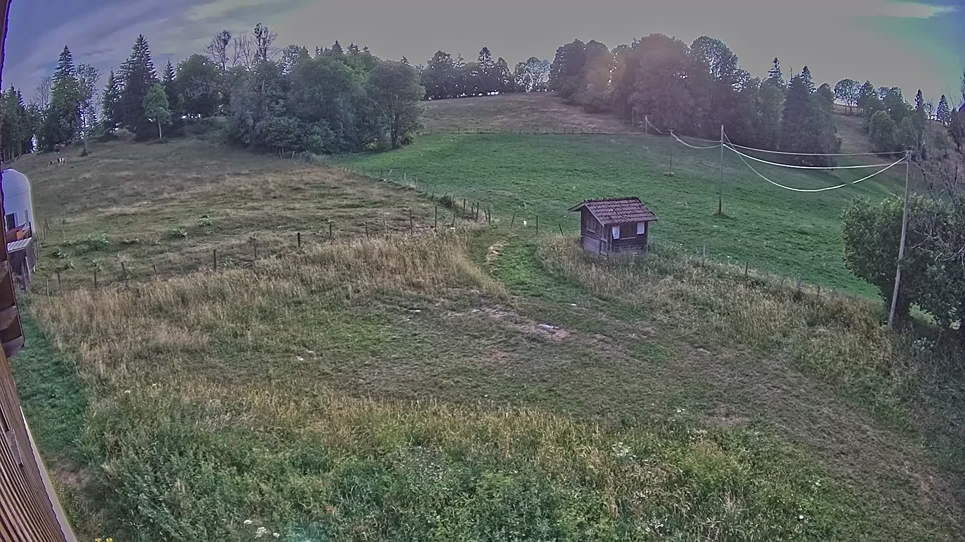Webcam Image