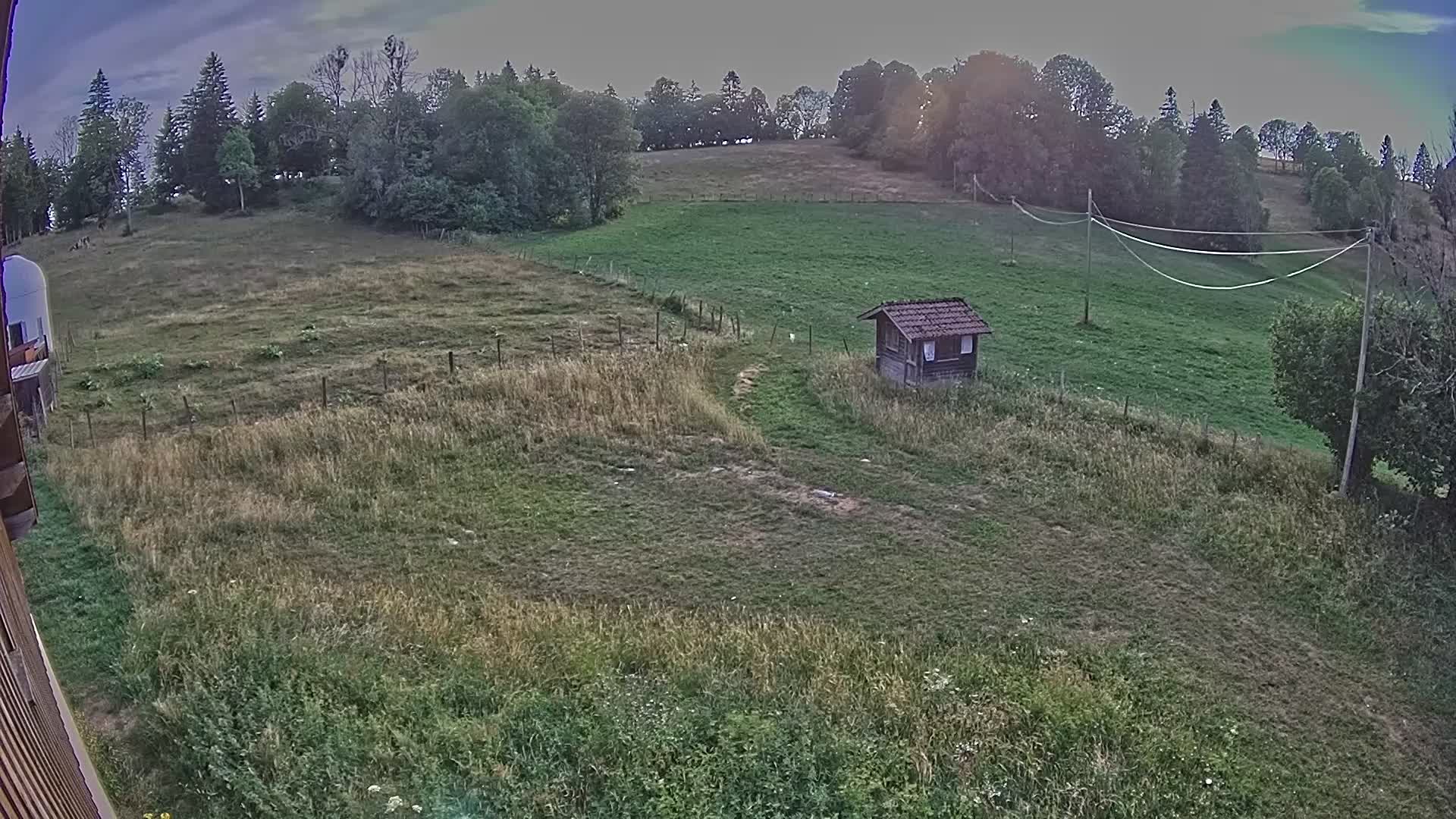 Webcam Image