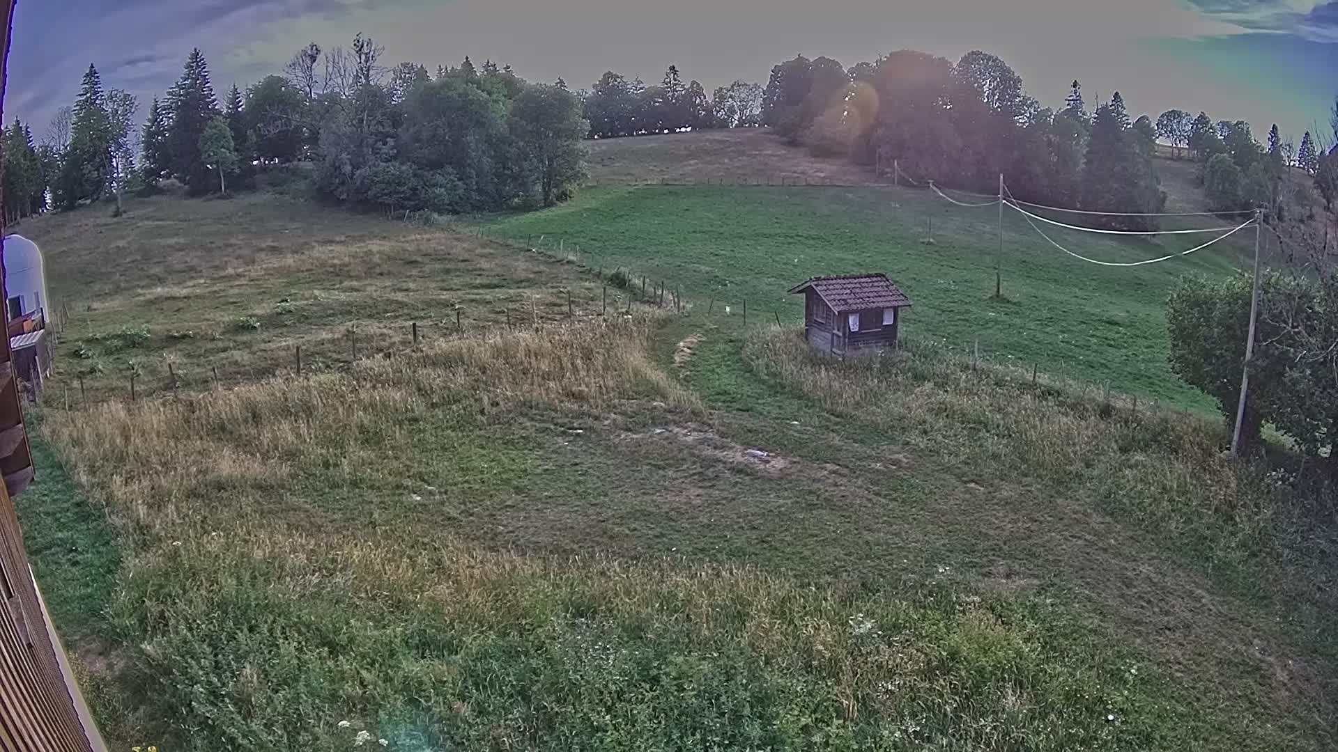 Webcam Image