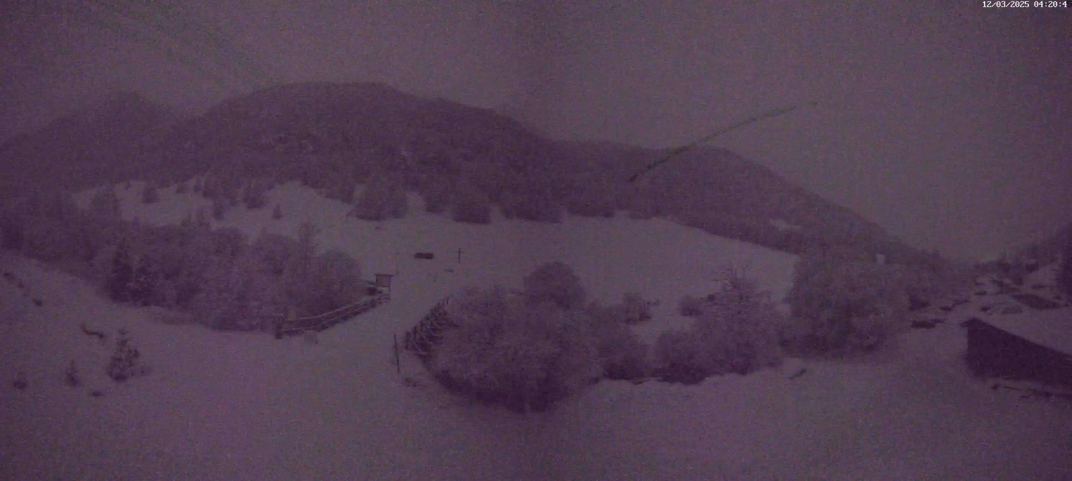 Webcam Image