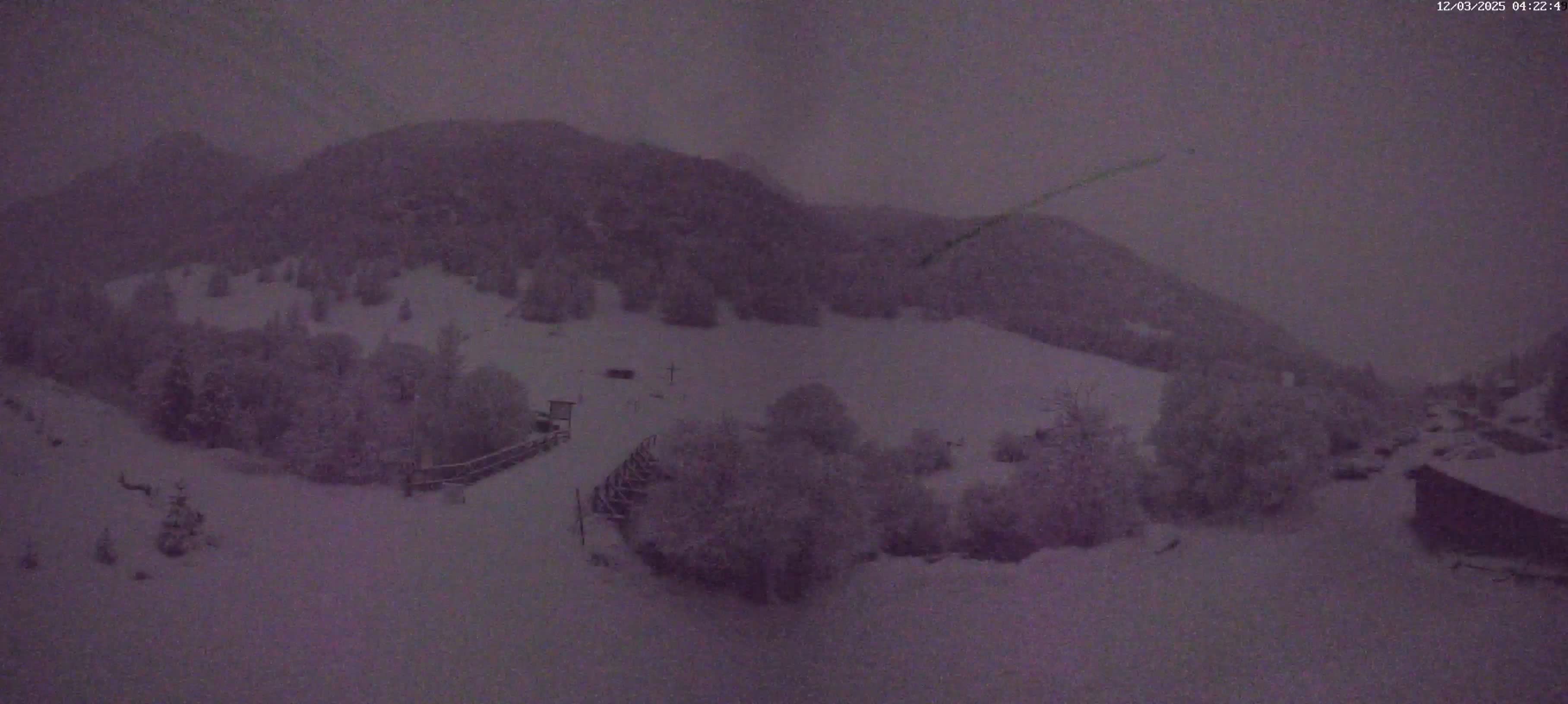 Webcam Image