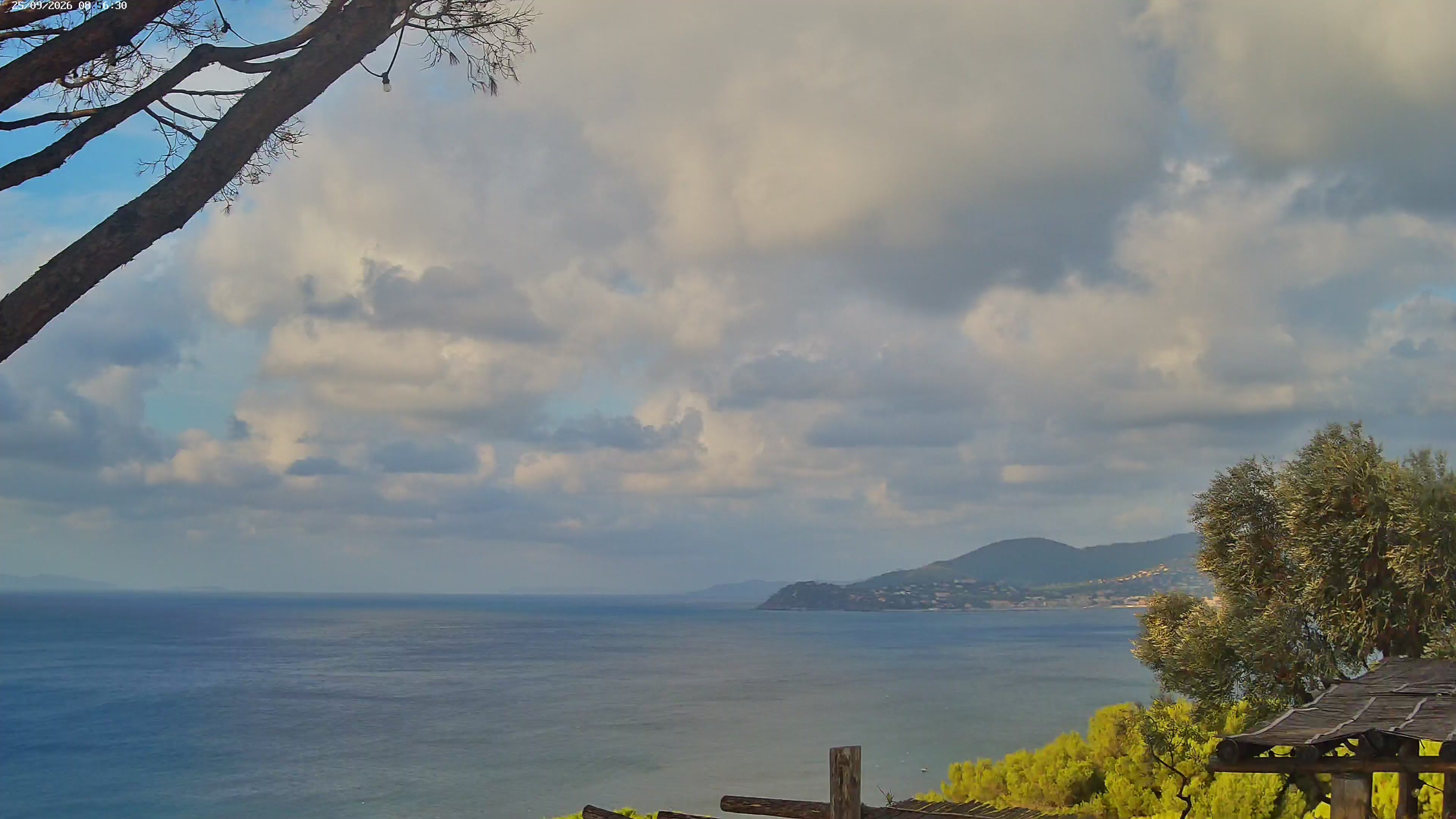 Webcam Image