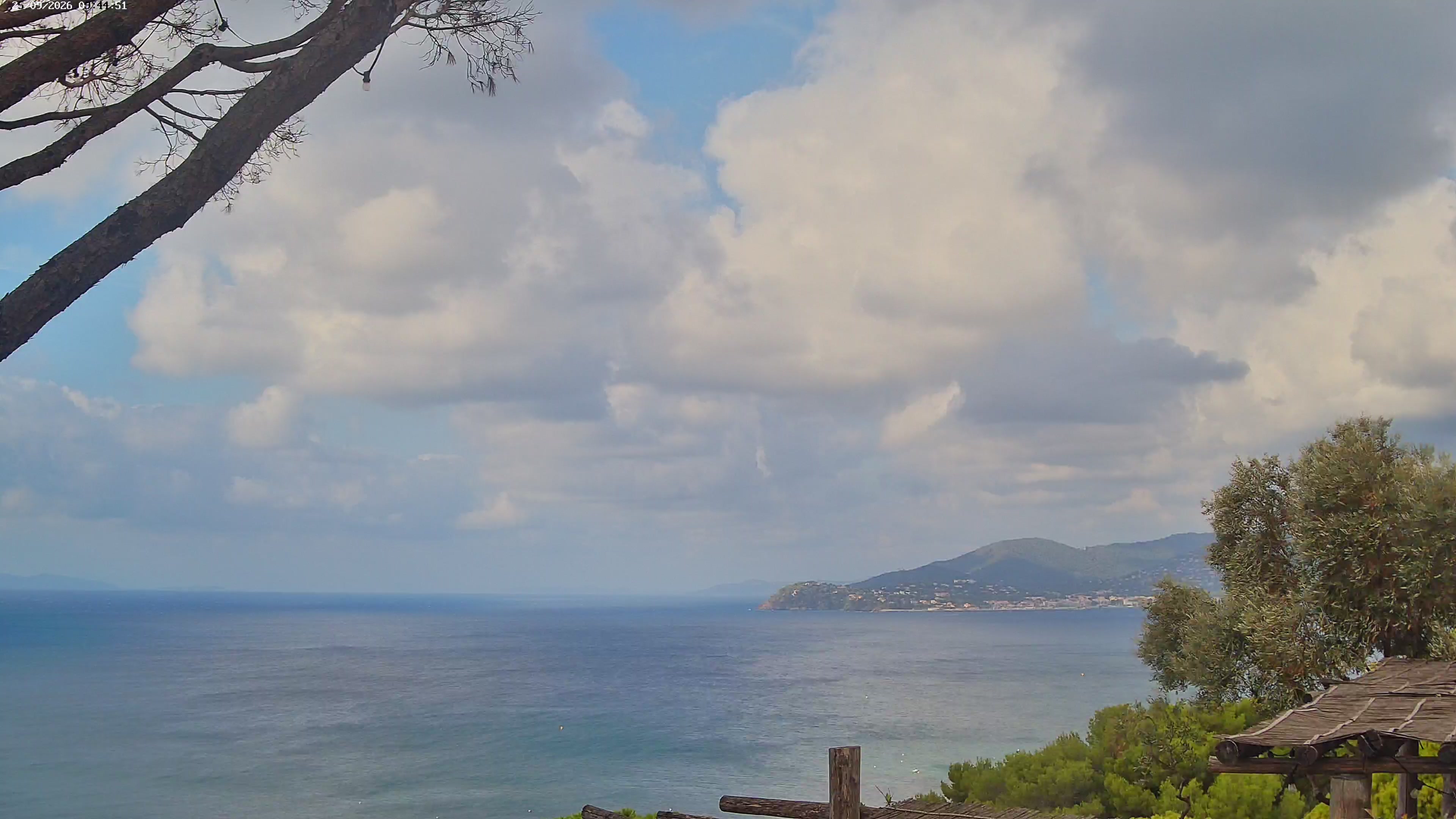Webcam Image