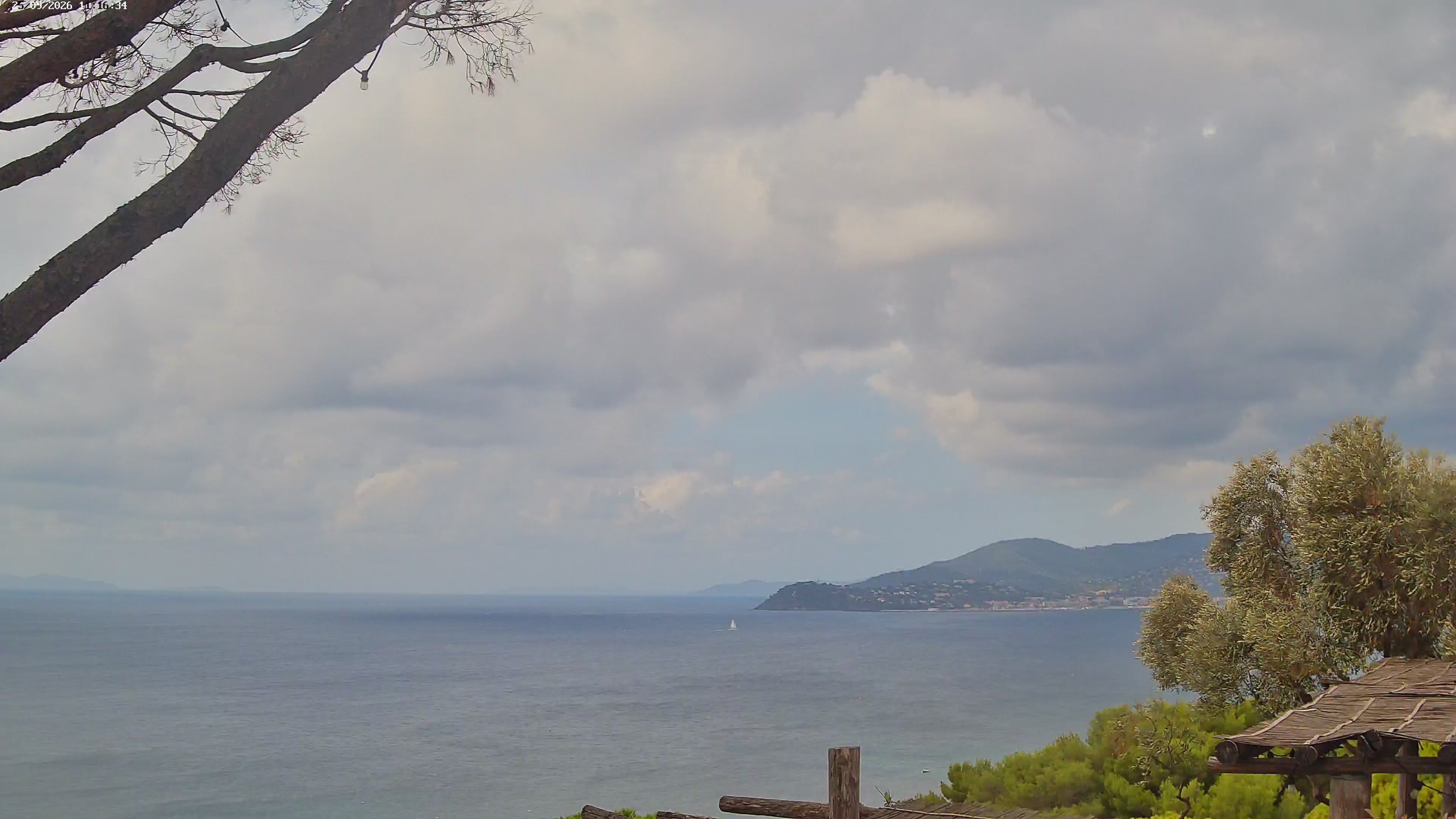 Webcam Image