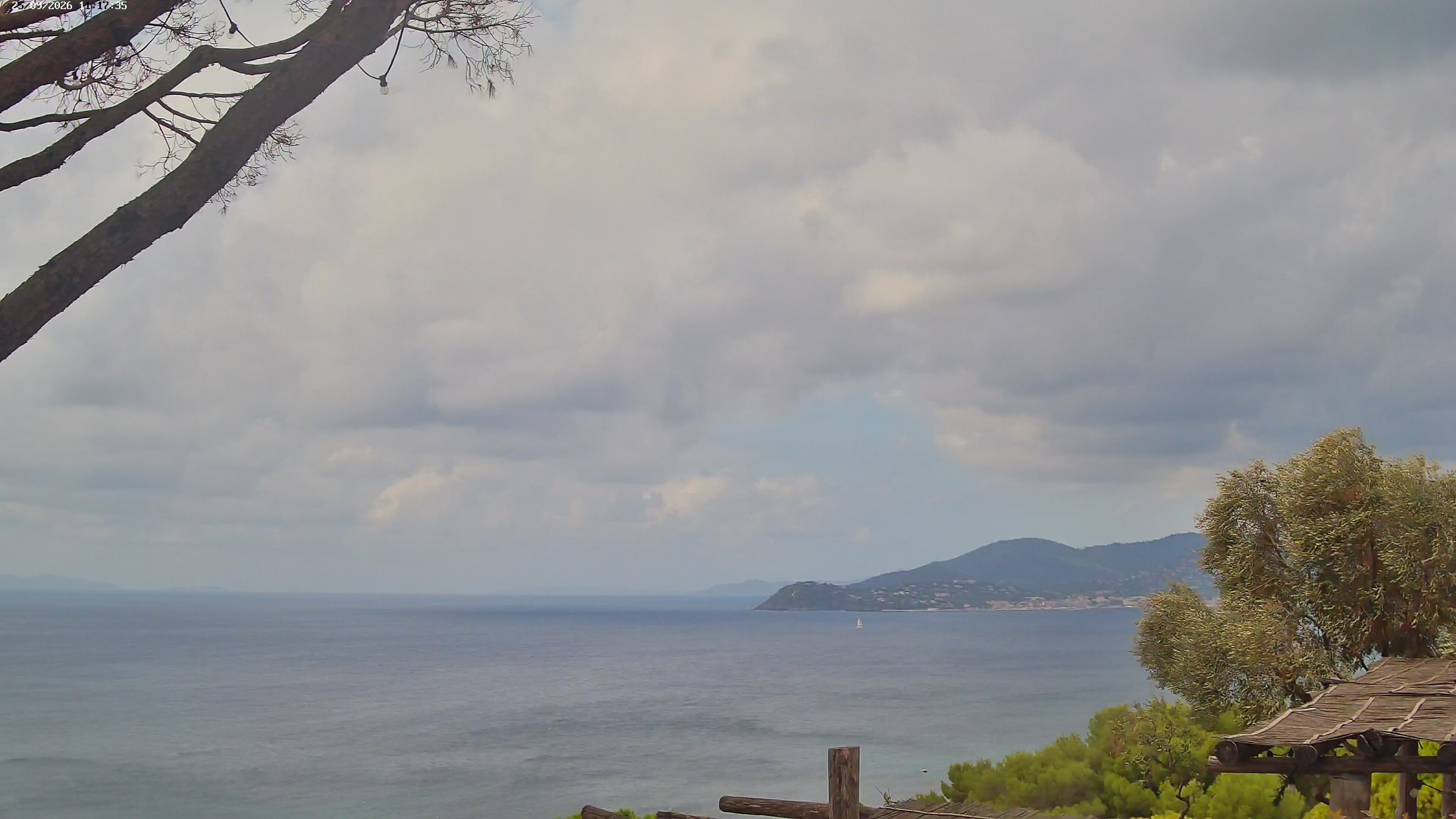 Webcam Image