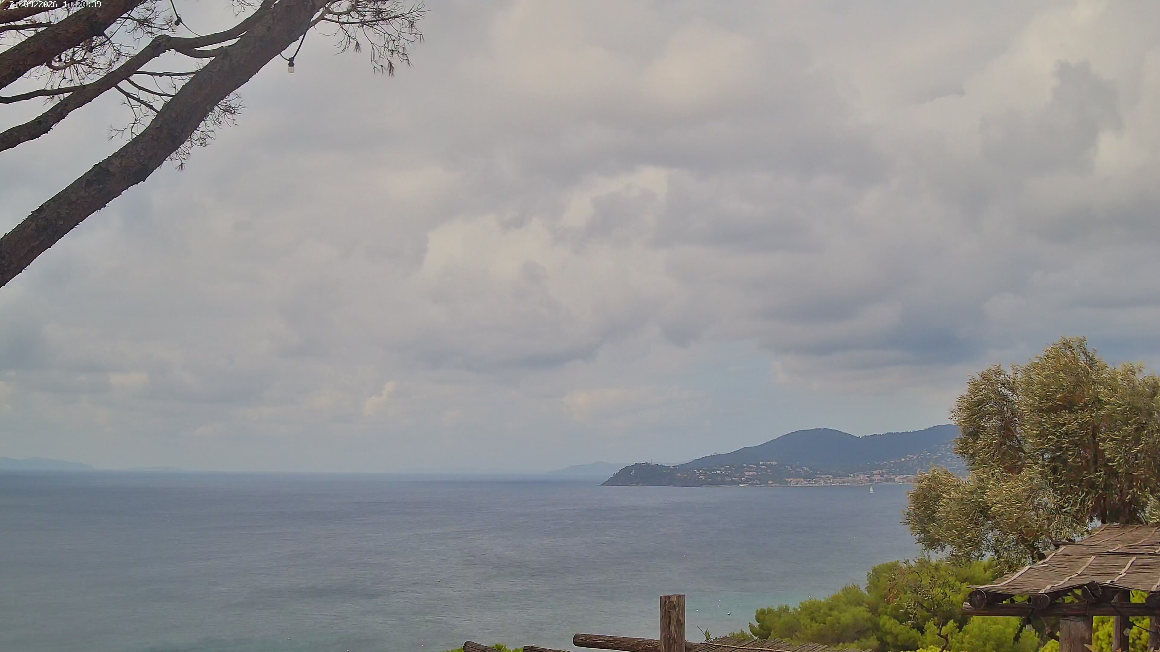 Webcam Image