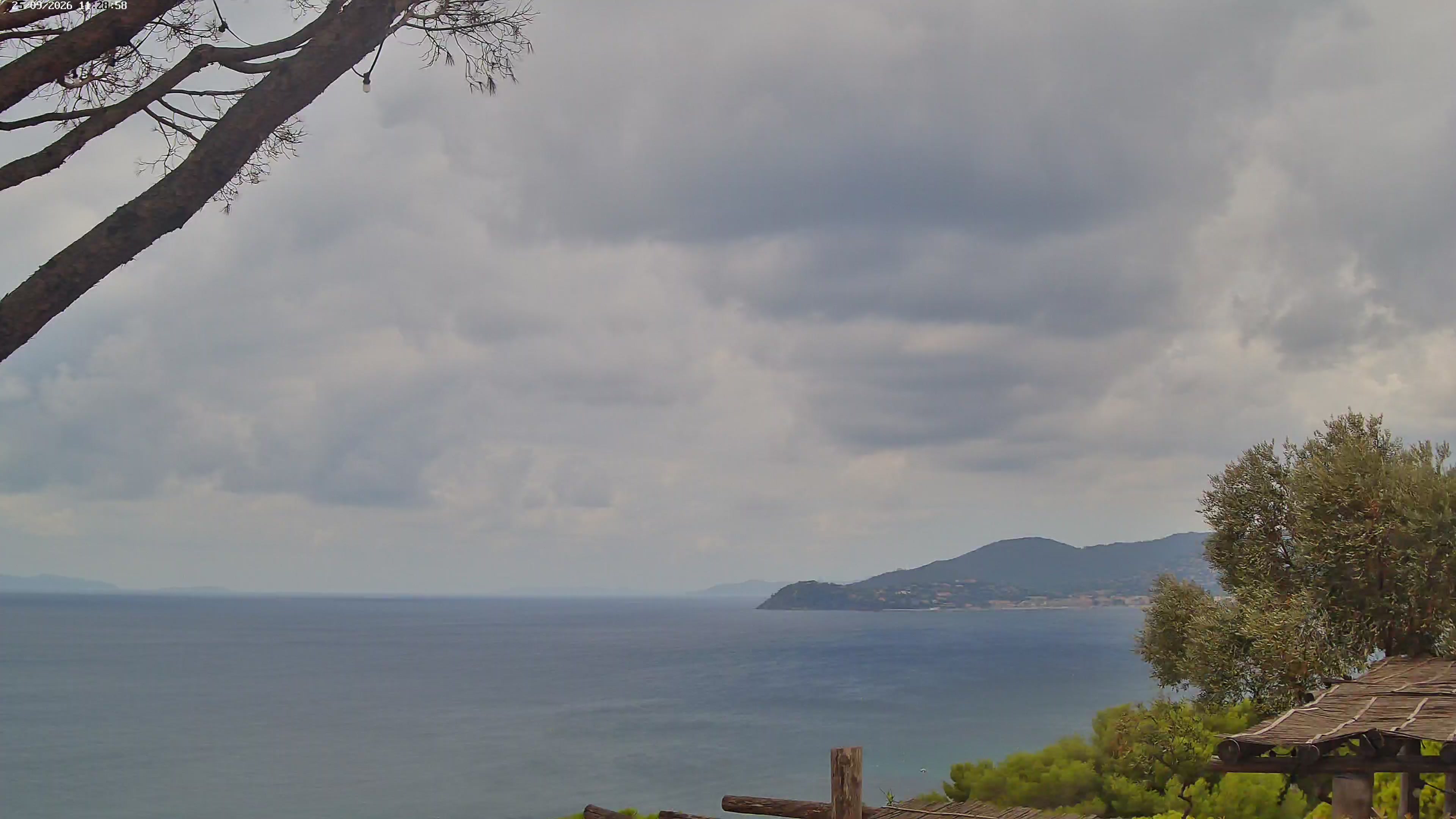 Webcam Image