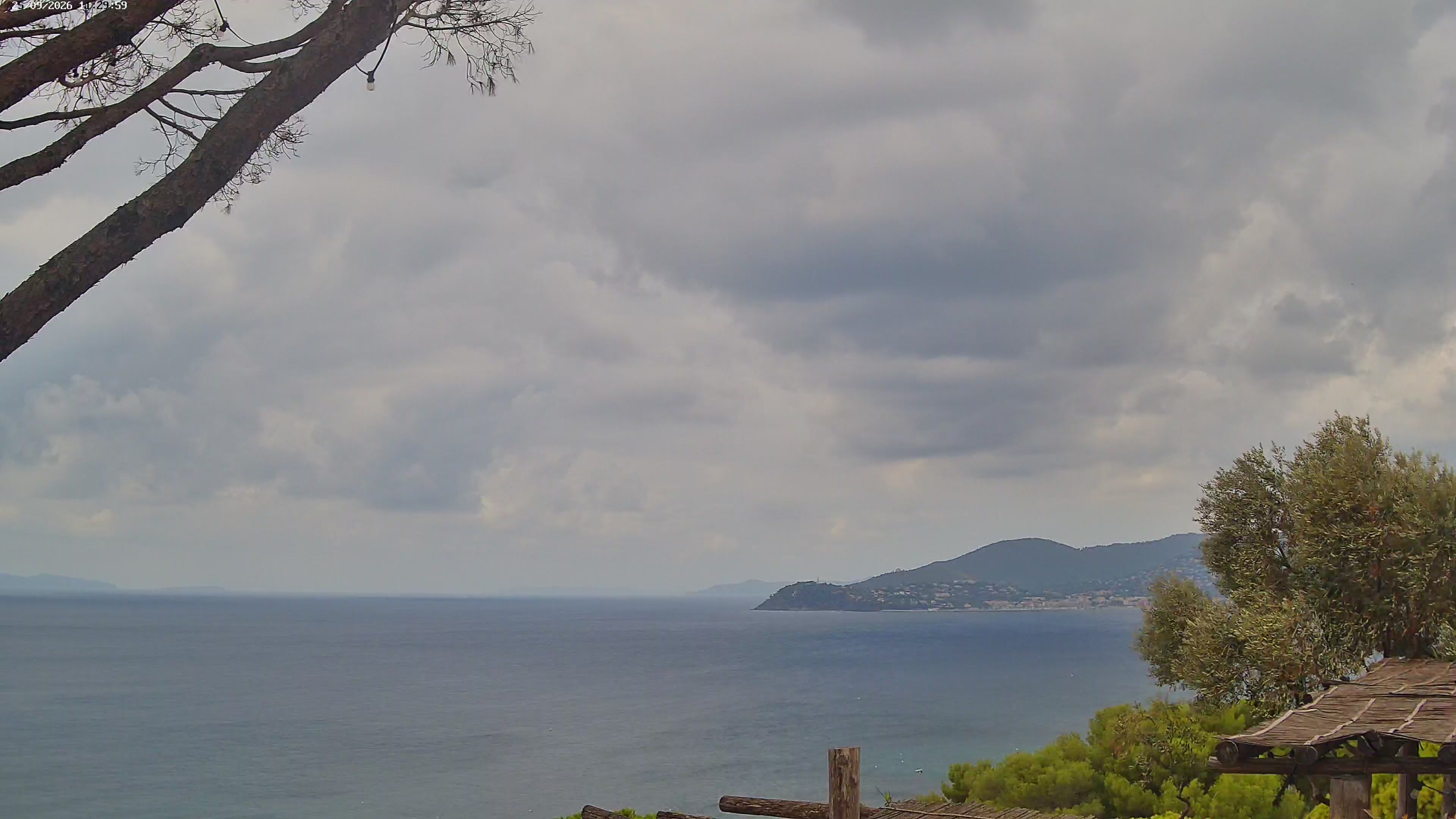 Webcam Image