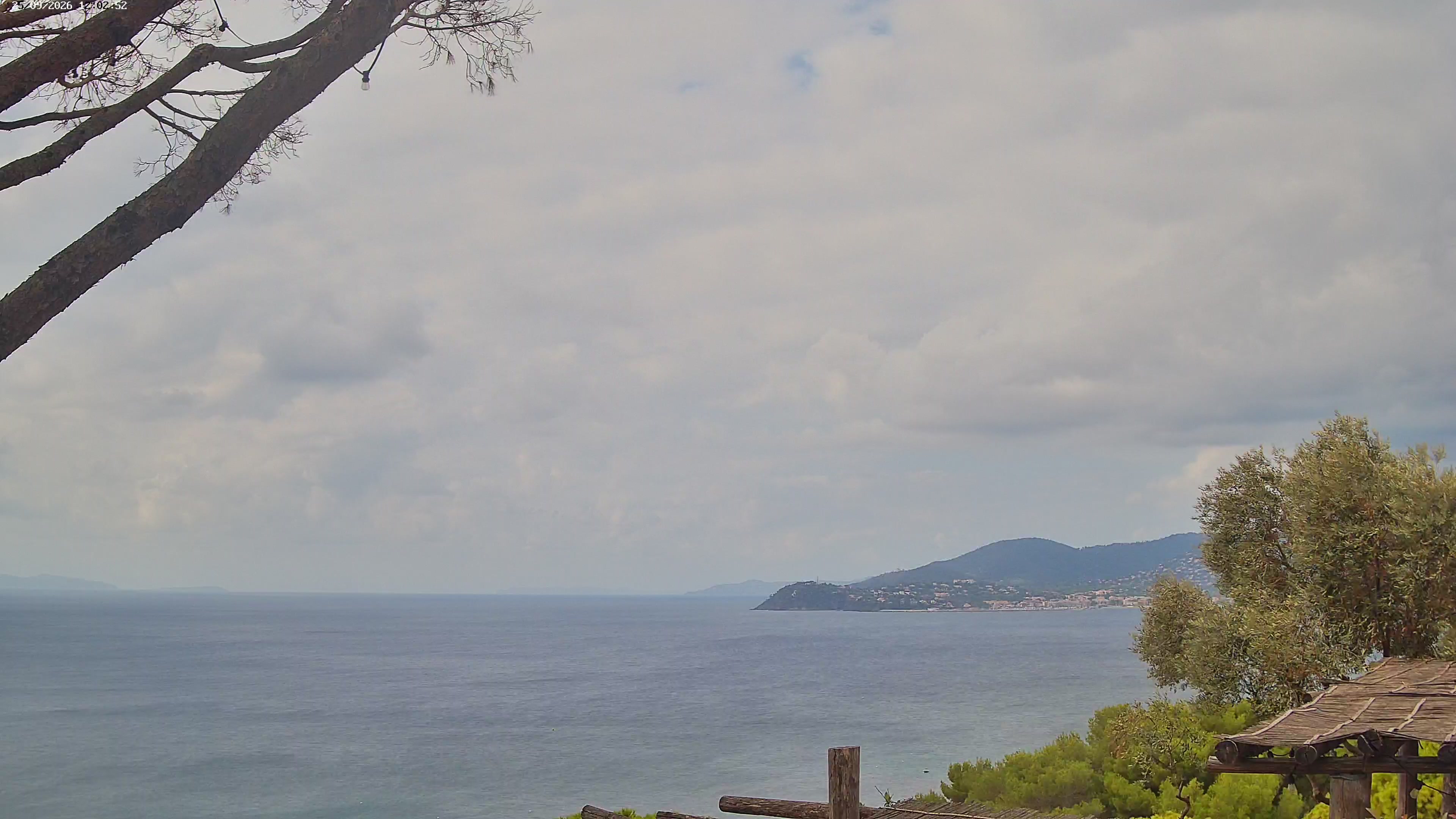 Webcam Image