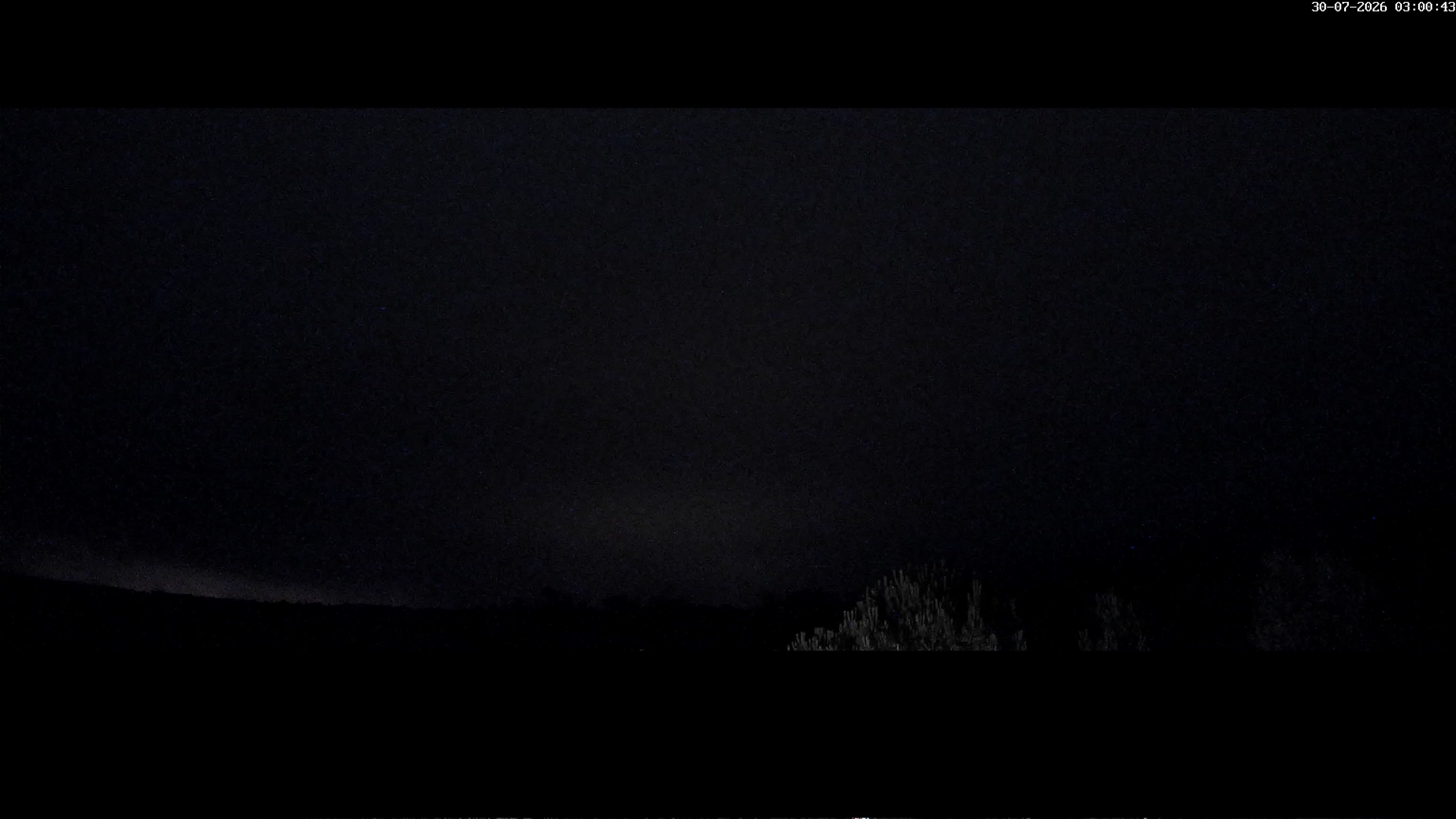 Webcam Image