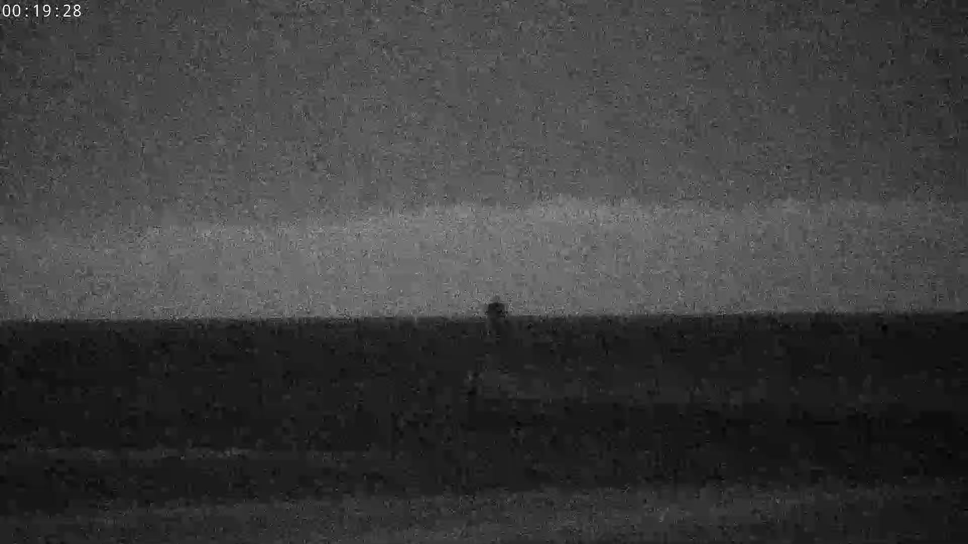Webcam Image