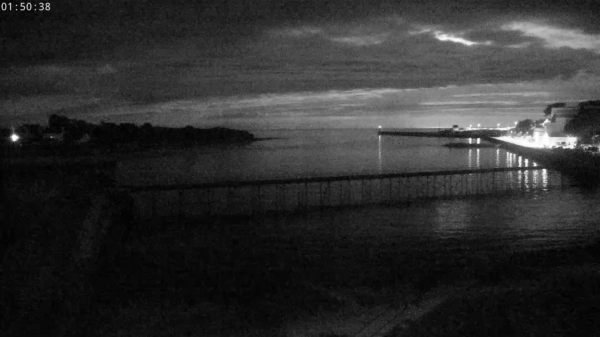 Webcam Image
