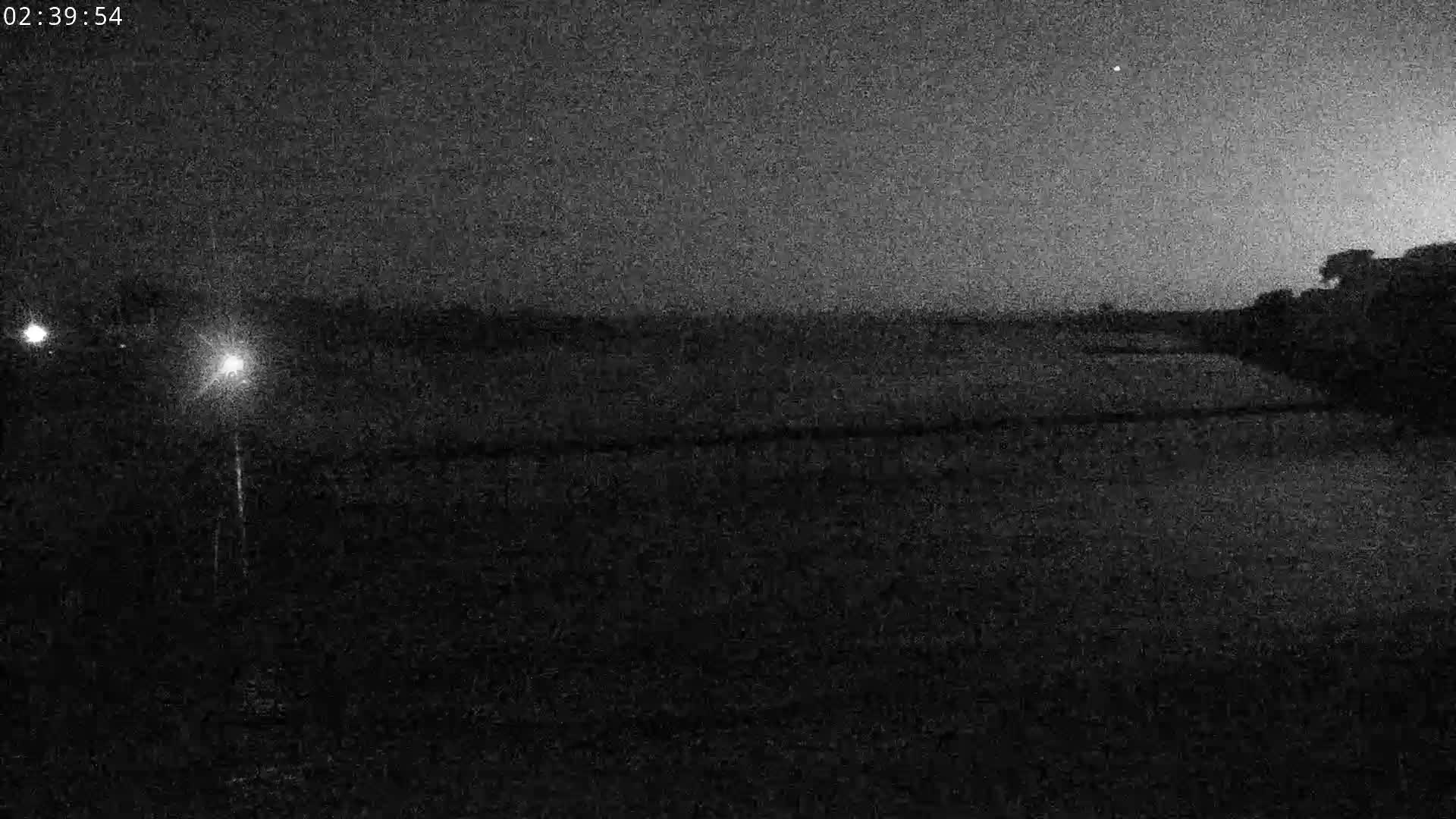 Webcam Image