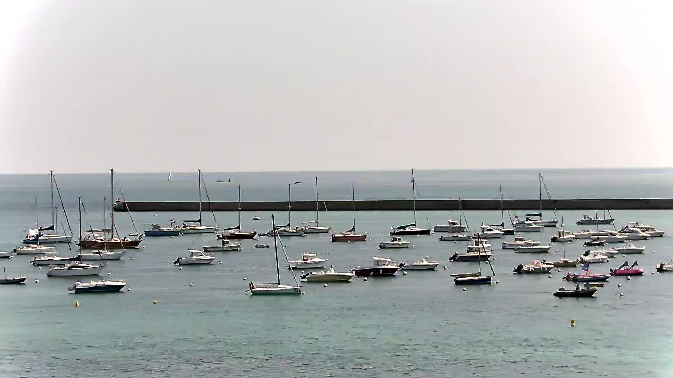 Webcam Image