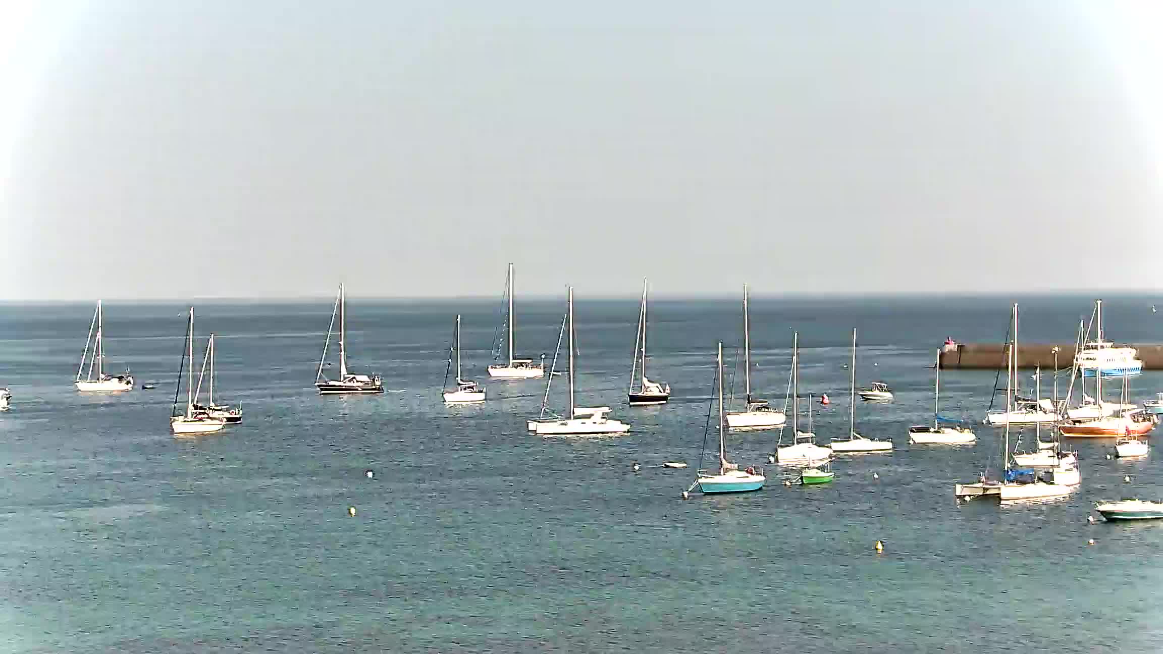 Webcam Image
