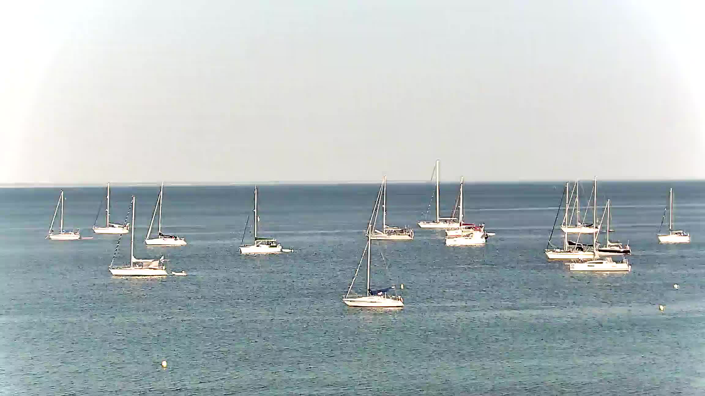 Webcam Image