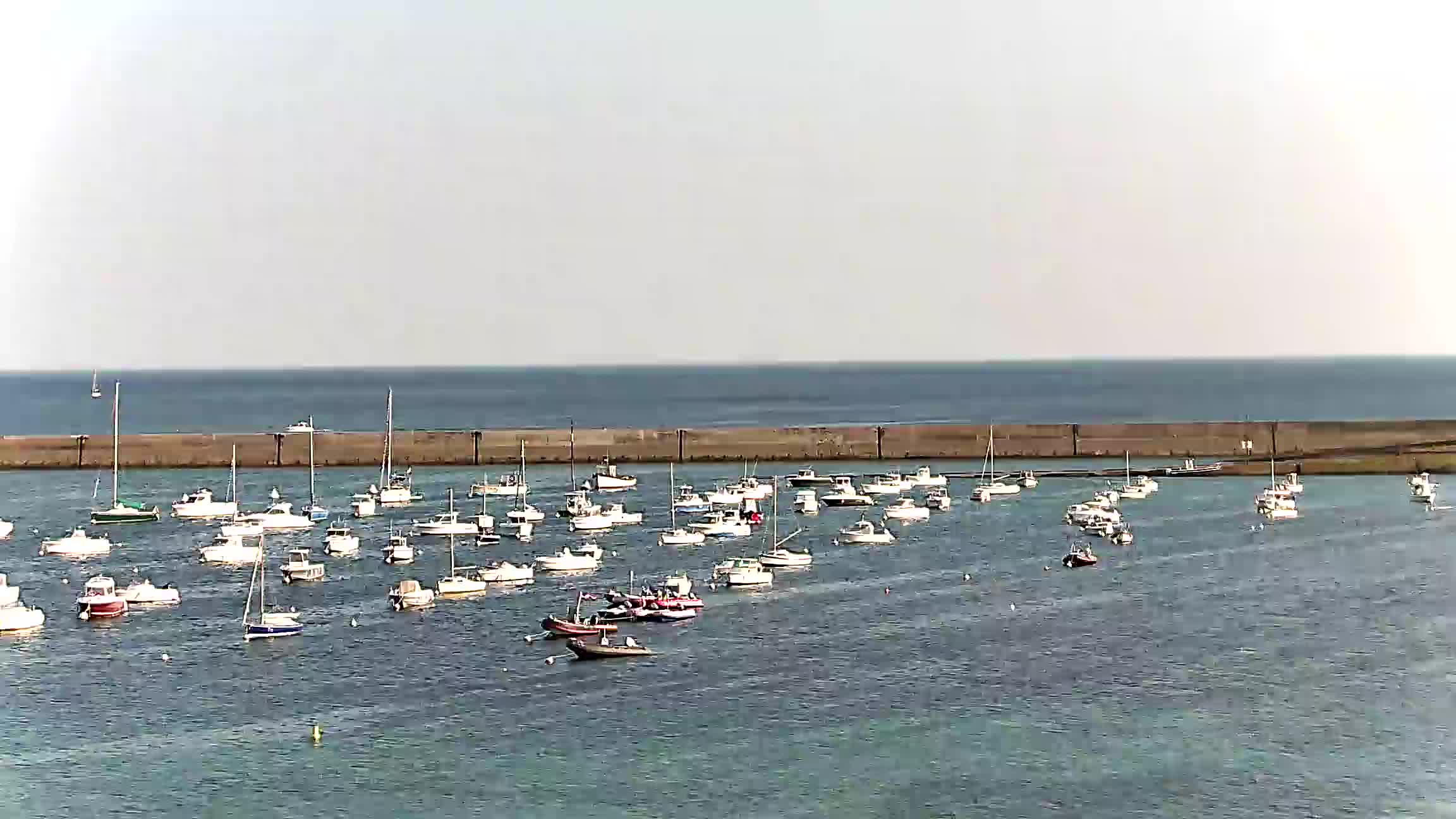 Webcam Image