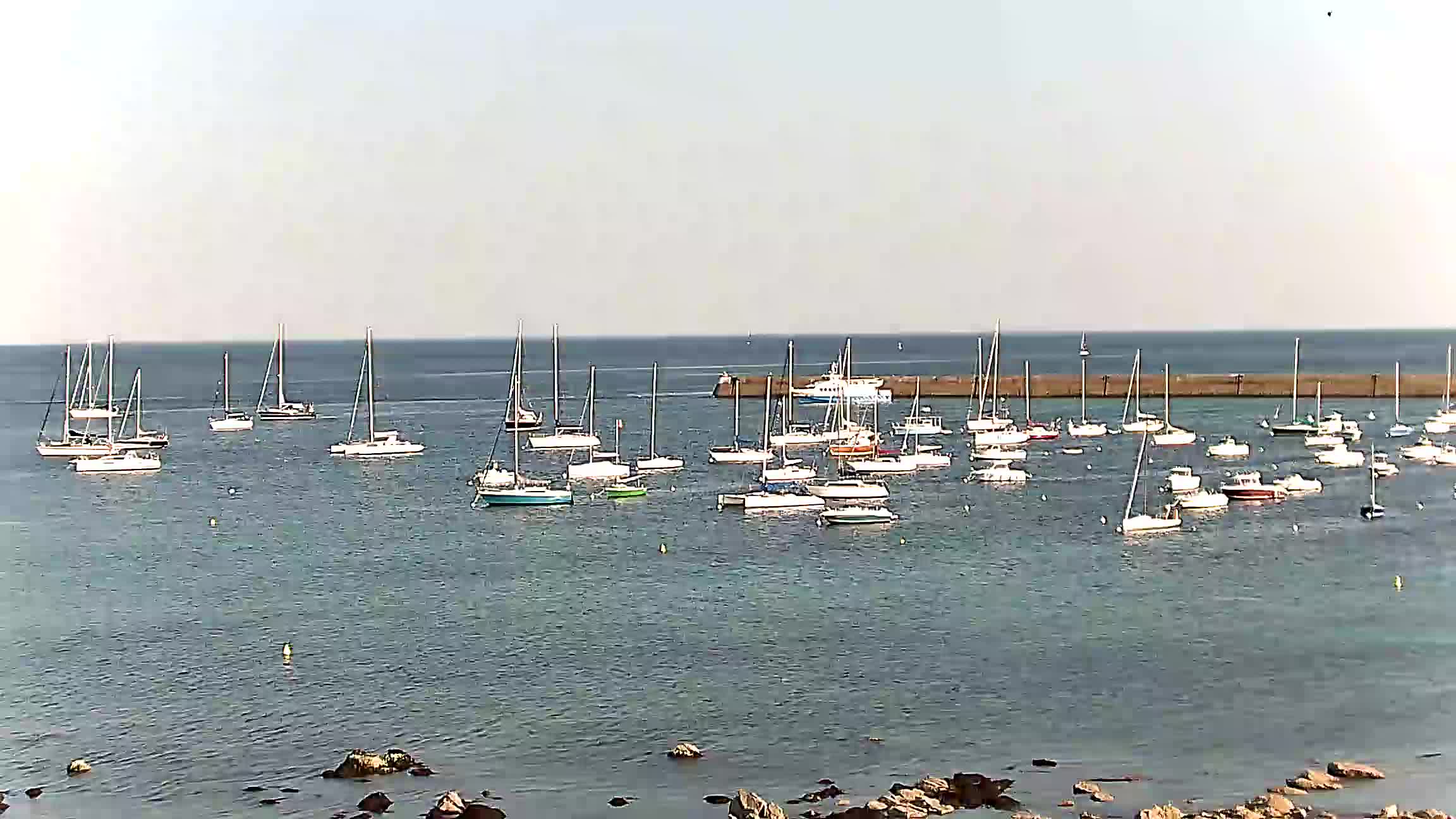 Webcam Image