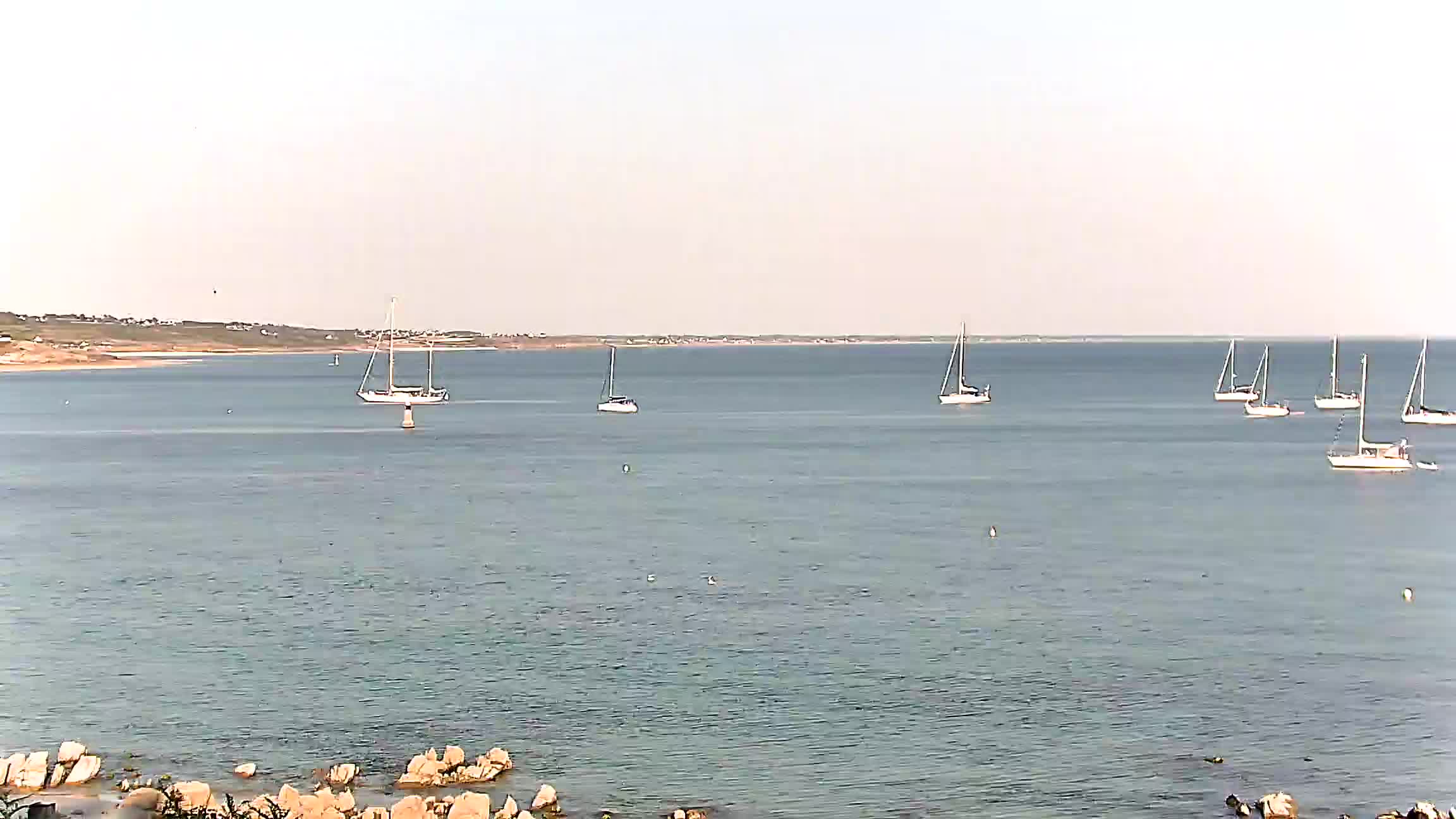 Webcam Image