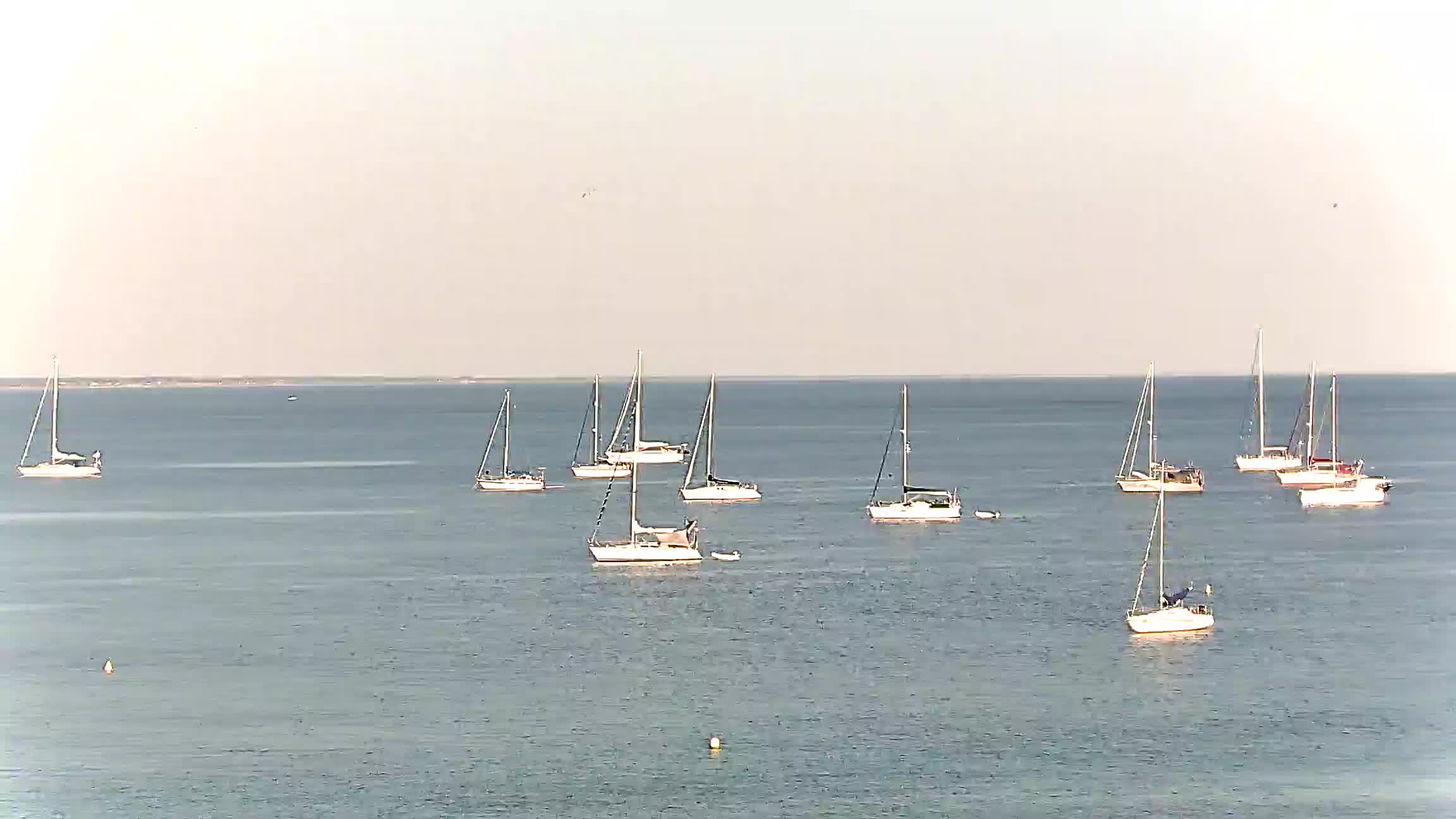 Webcam Image