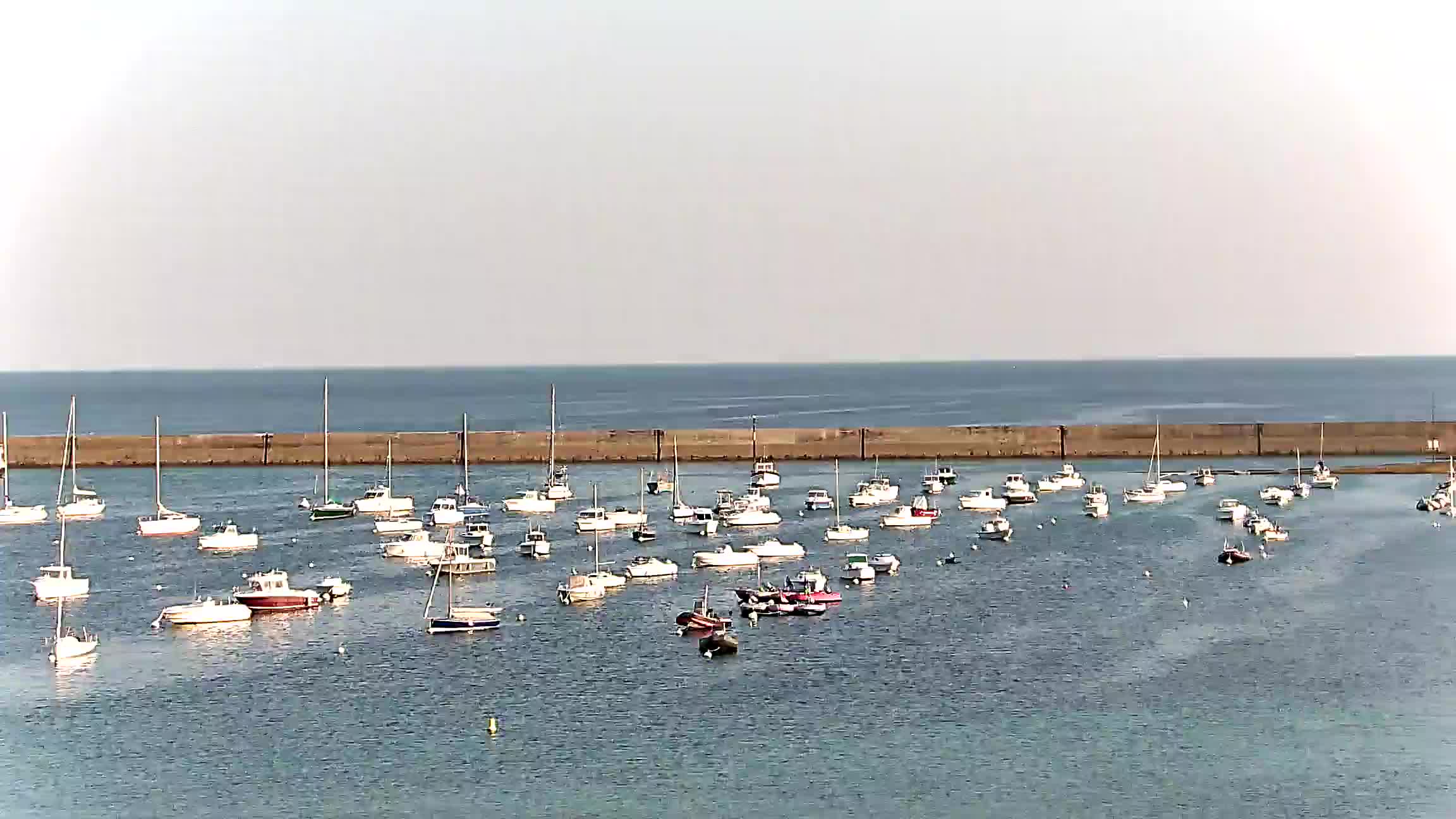 Webcam Image