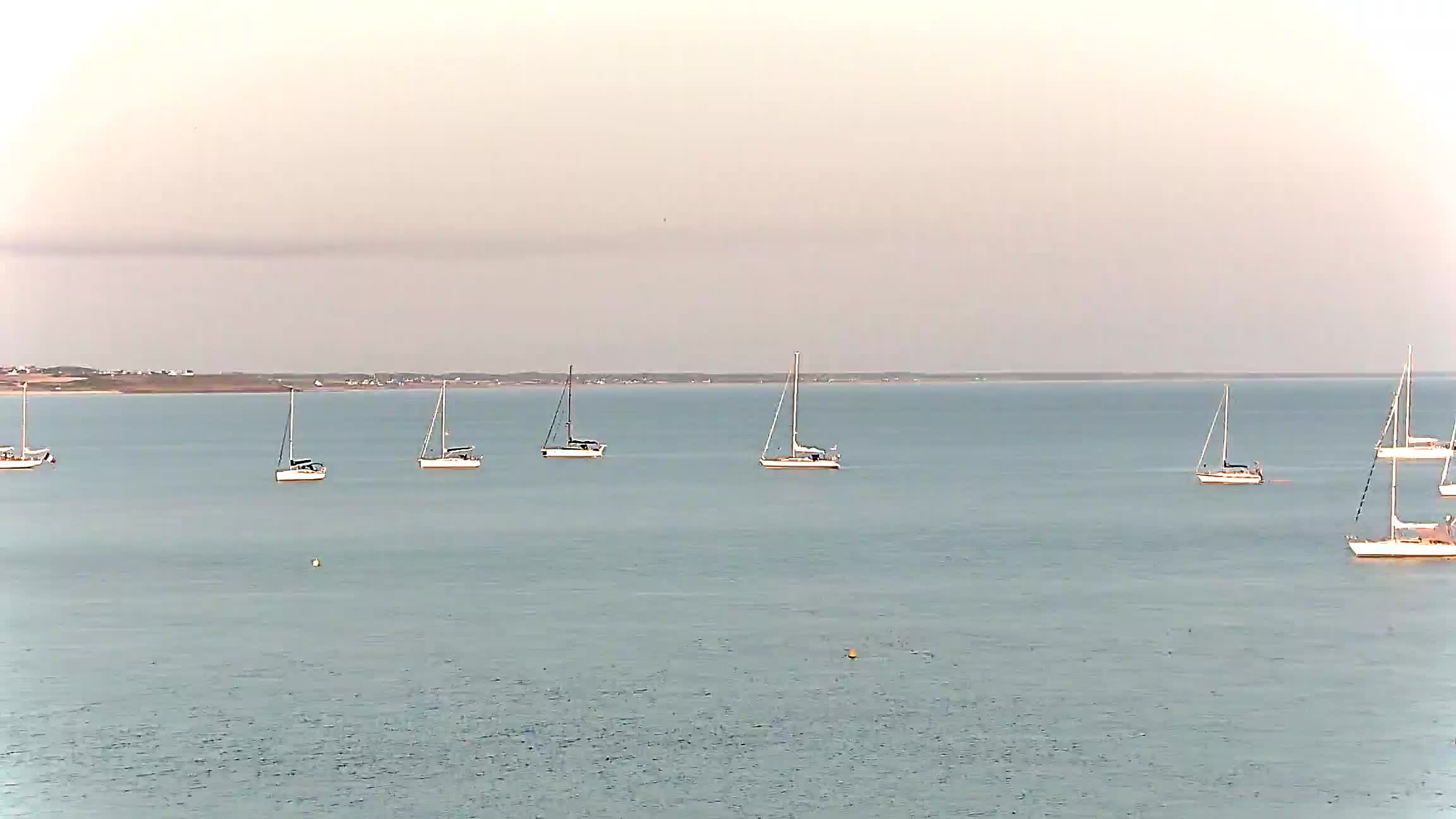 Webcam Image