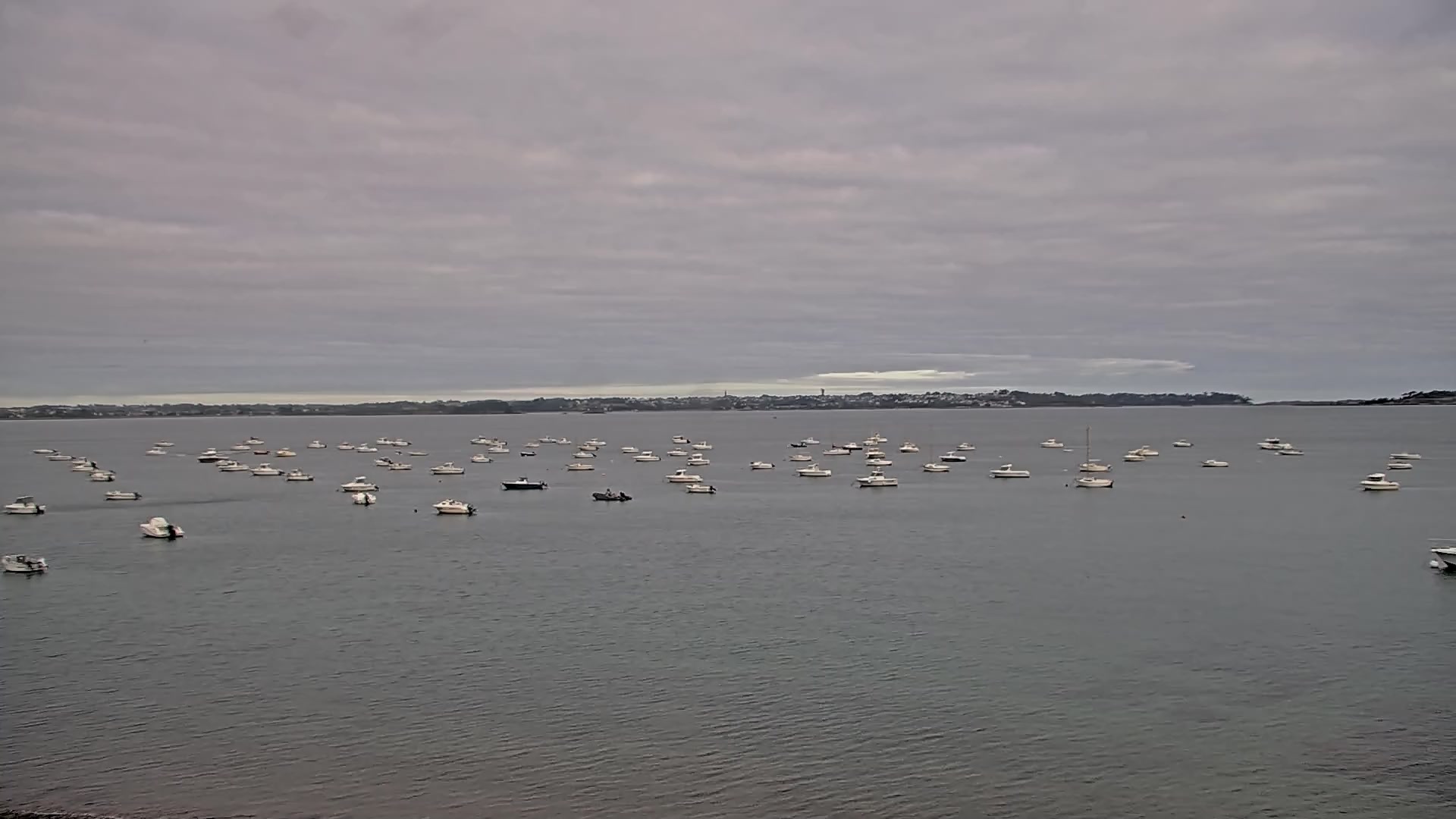 Webcam Image