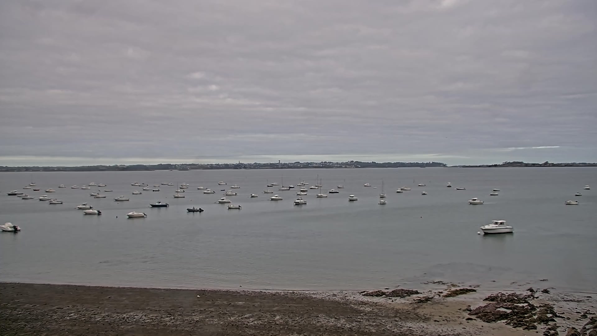Webcam Image