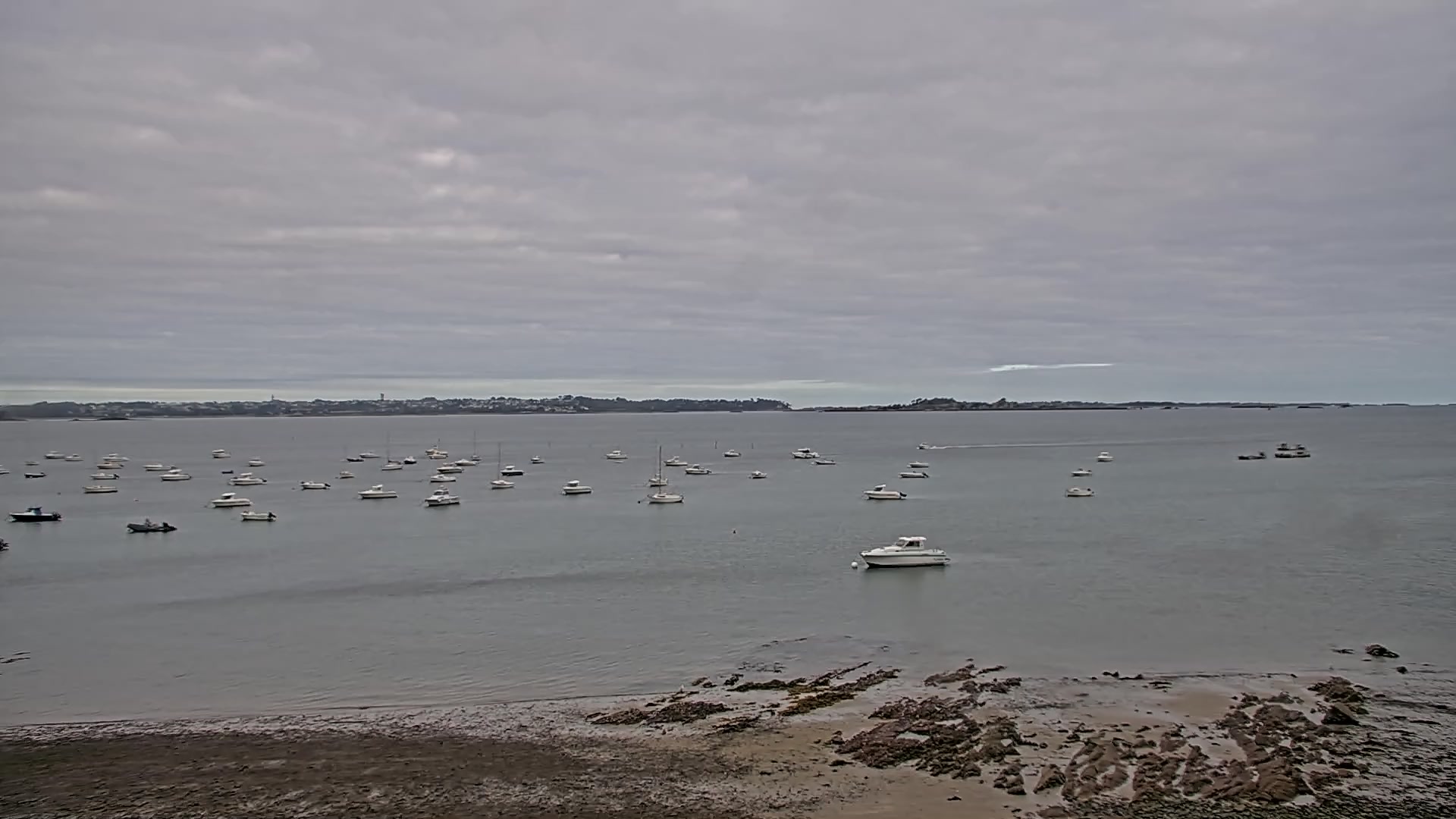 Webcam Image