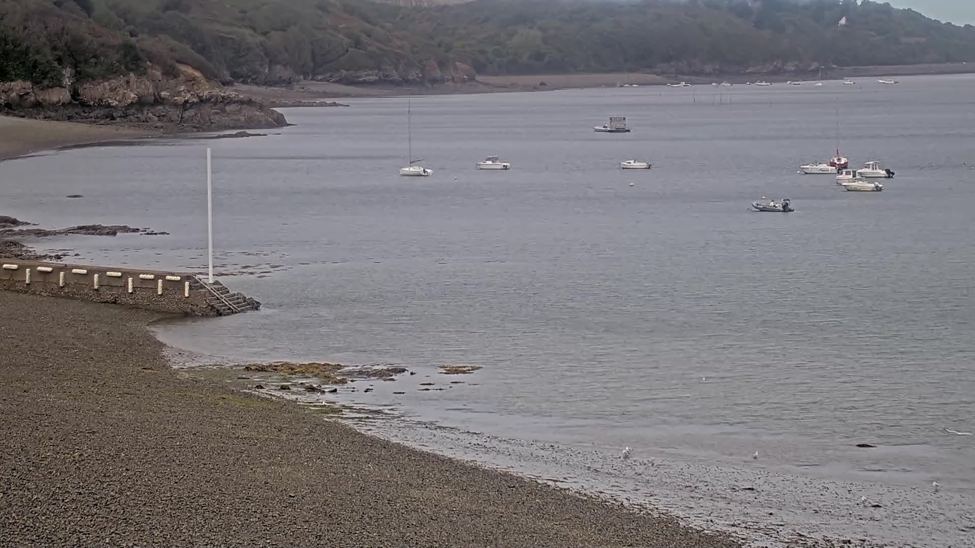 Webcam Image