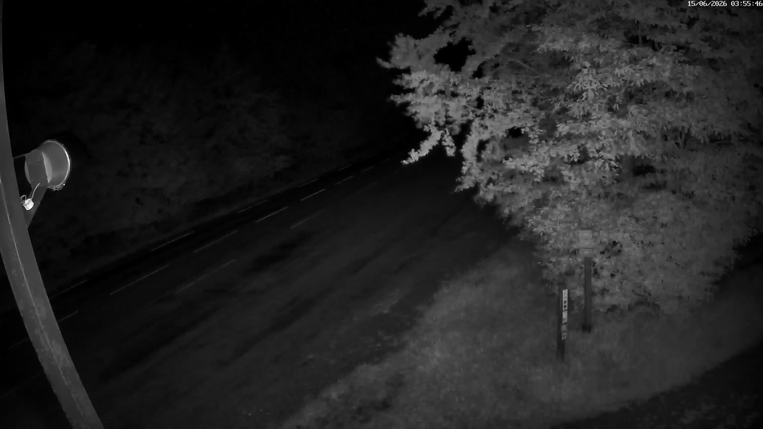 Webcam Image