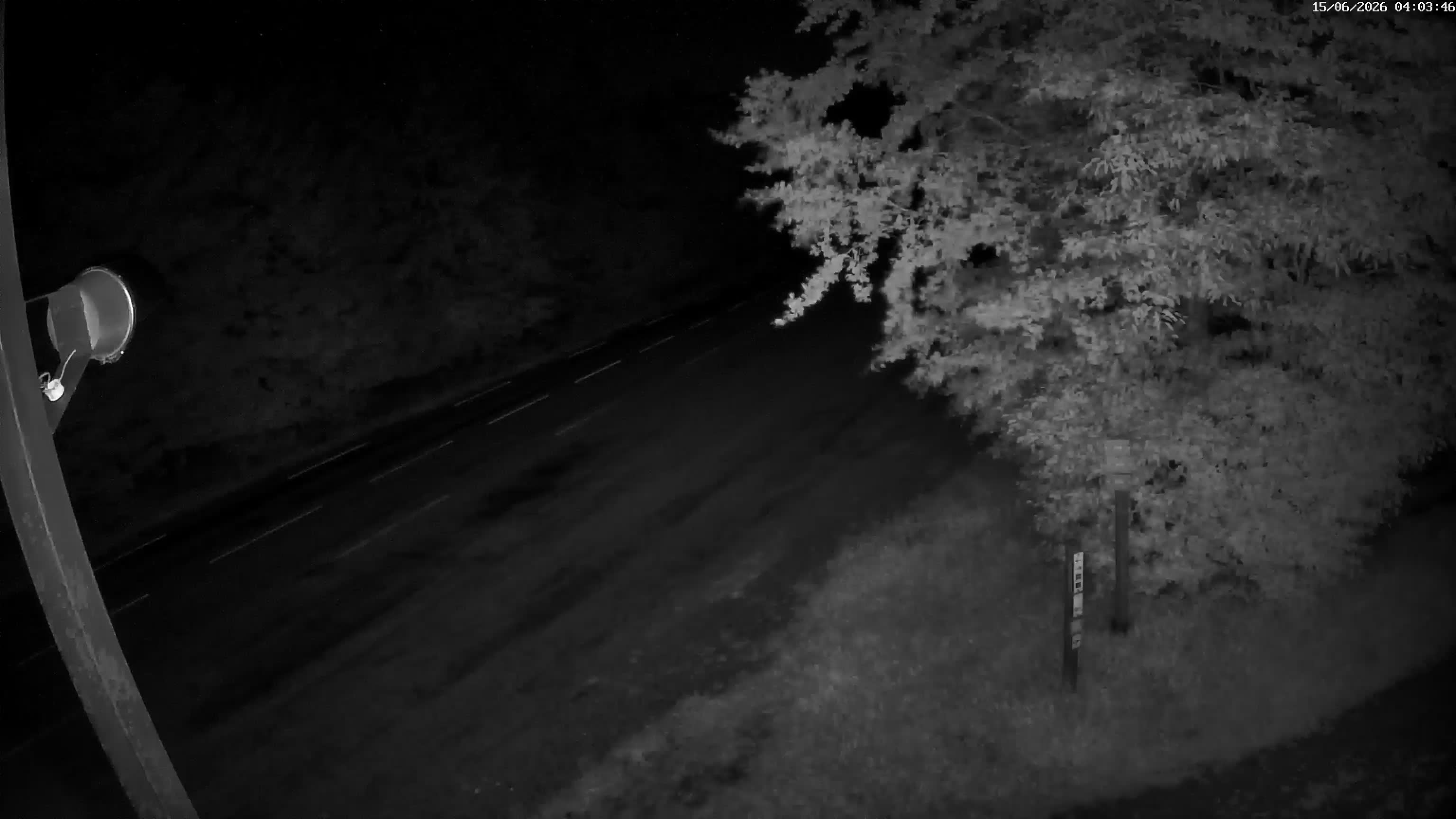 Webcam Image