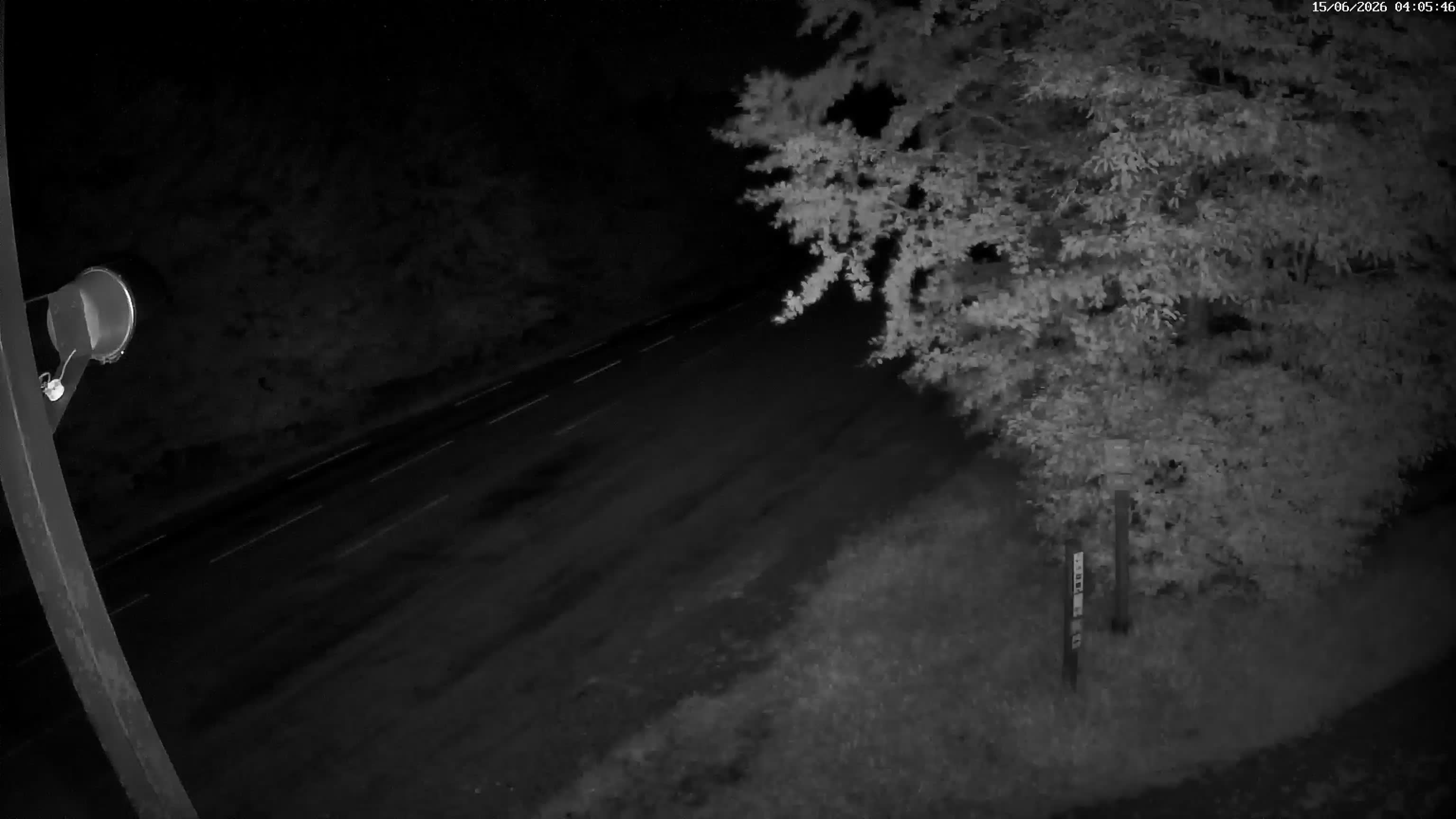 Webcam Image
