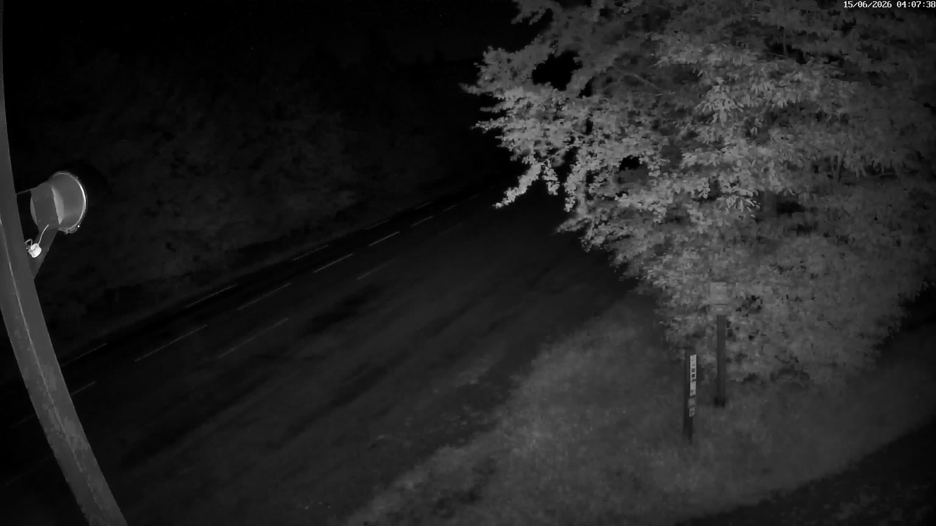 Webcam Image