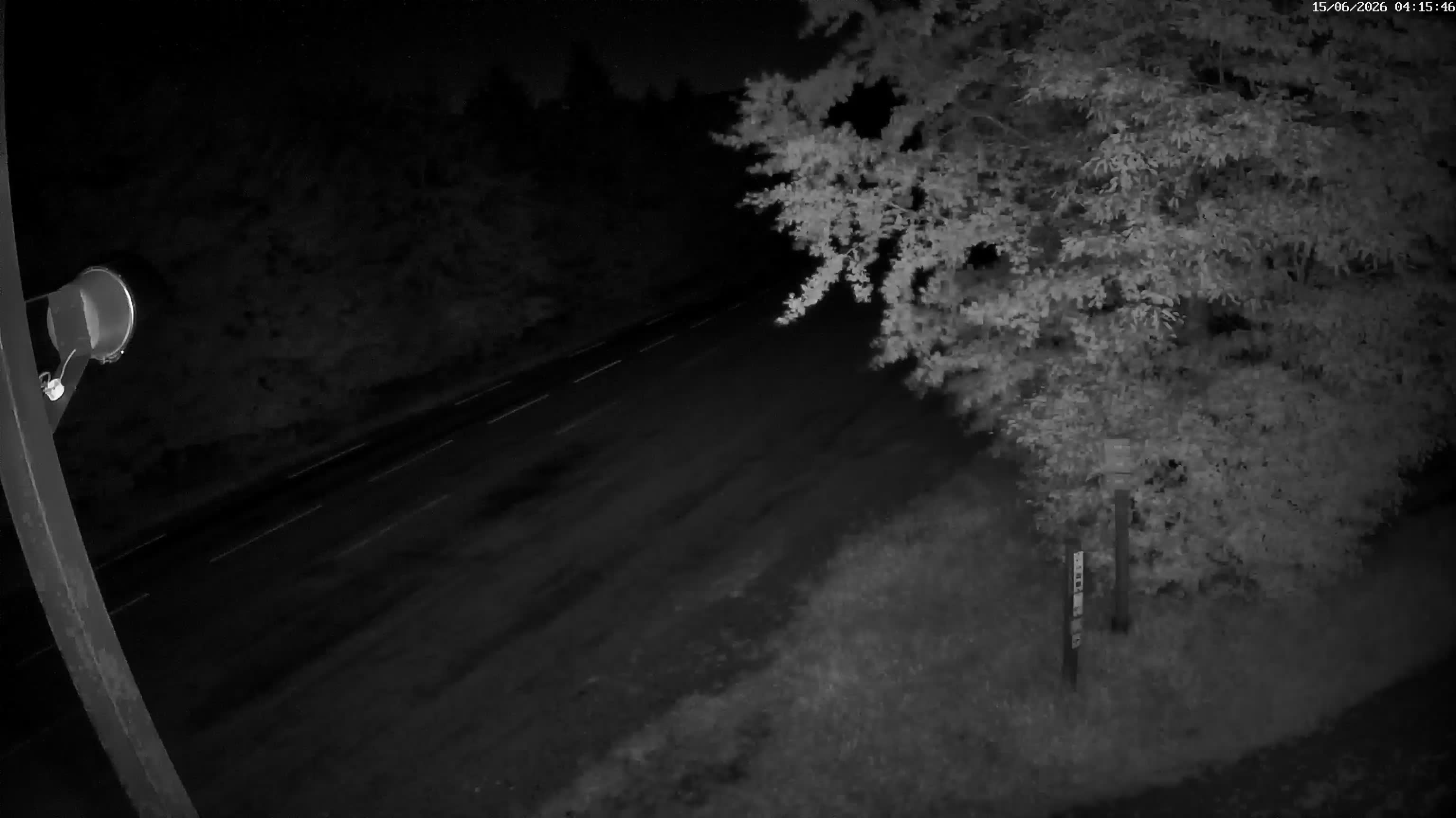 Webcam Image
