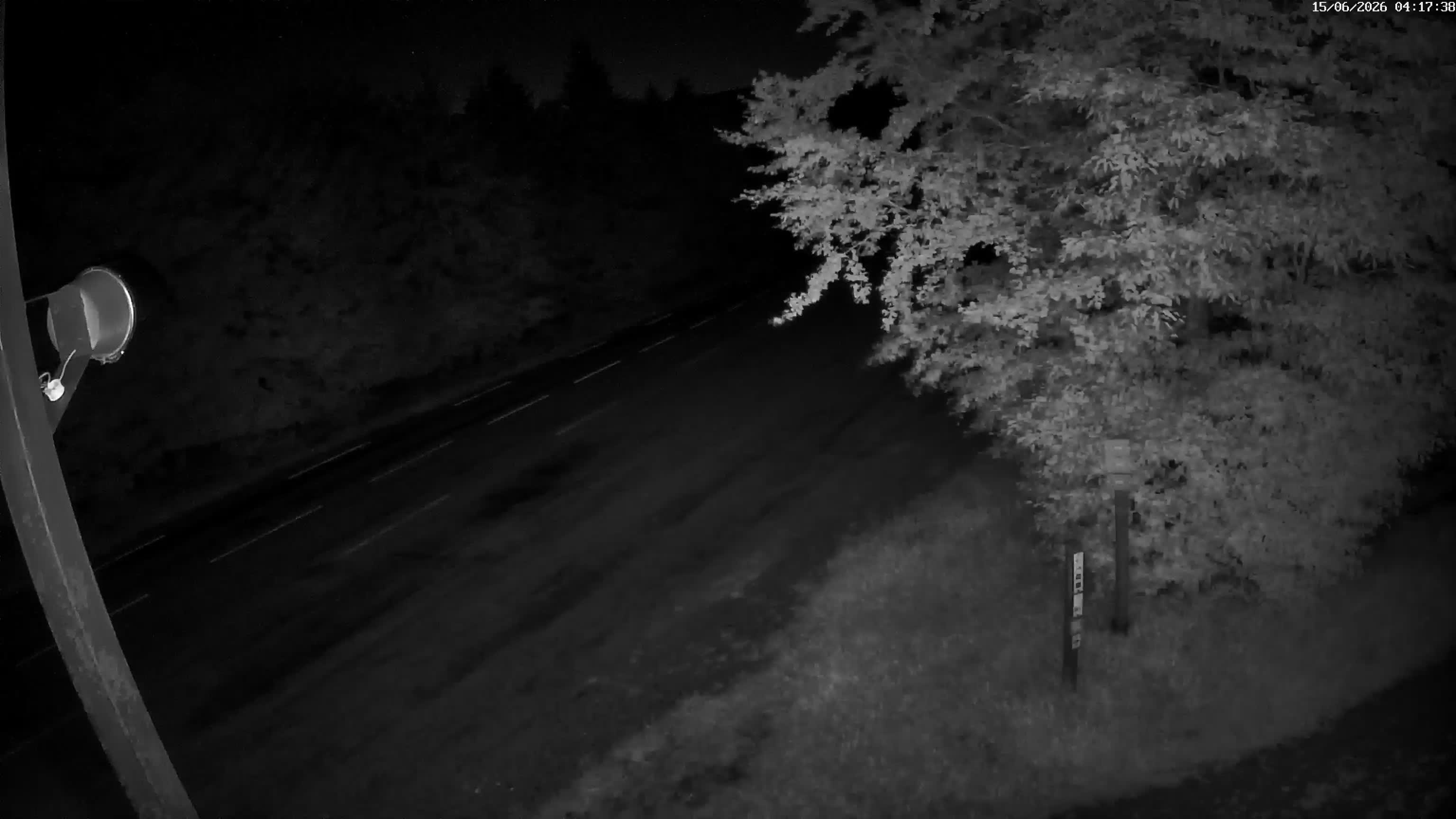 Webcam Image