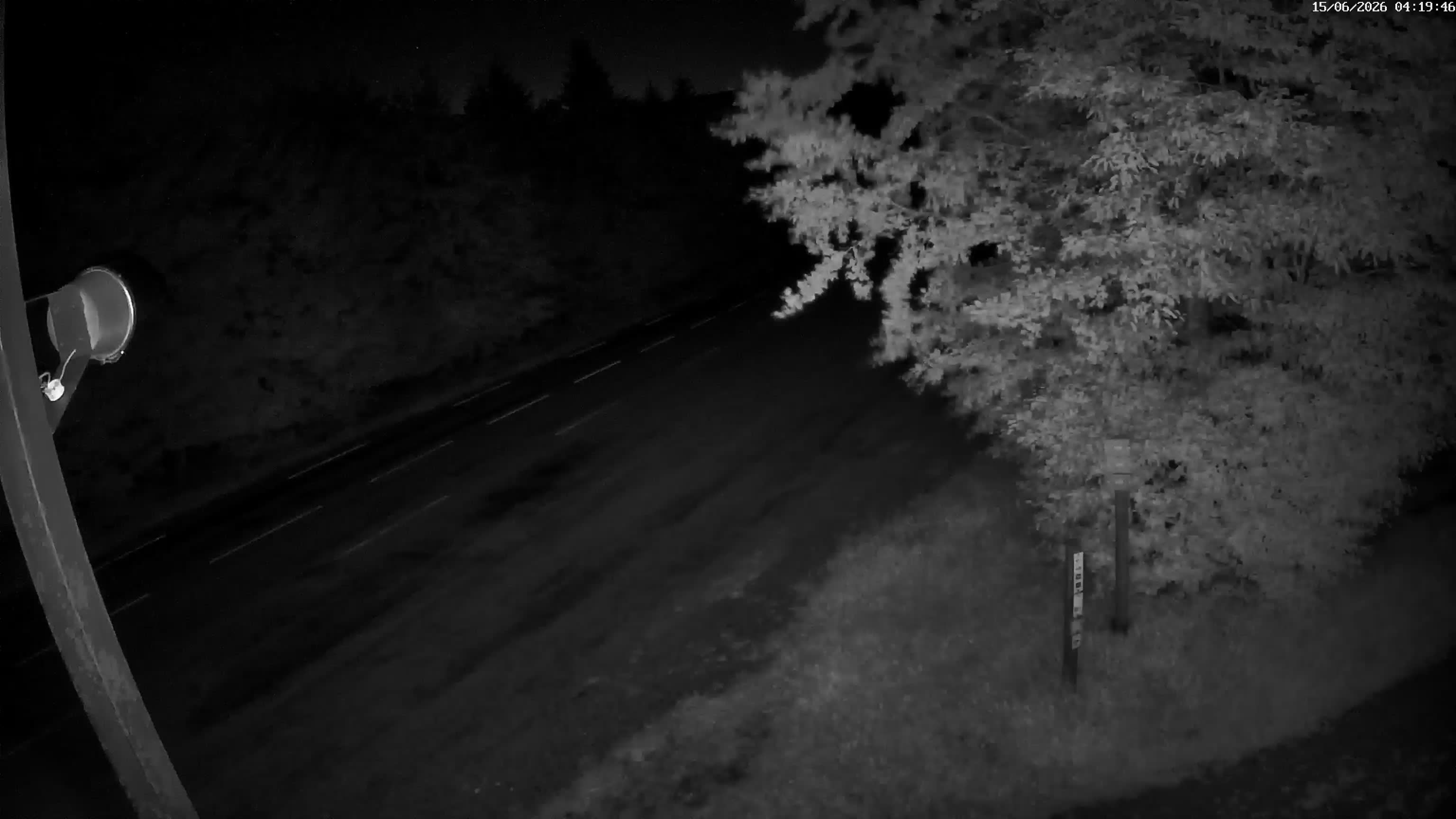 Webcam Image