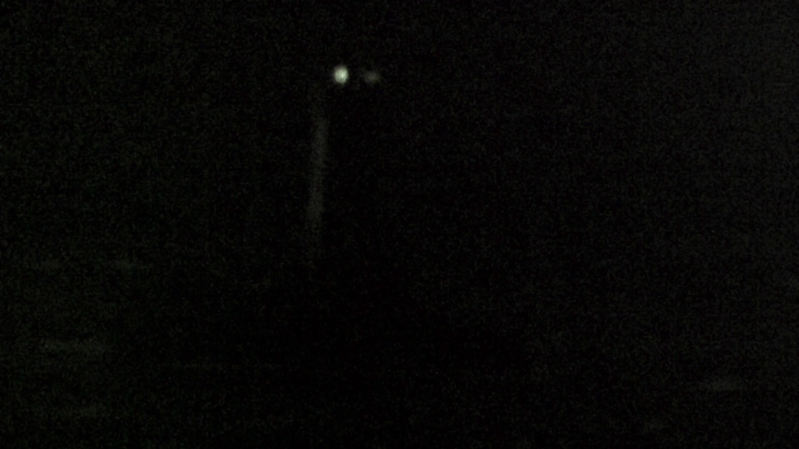 Webcam Image