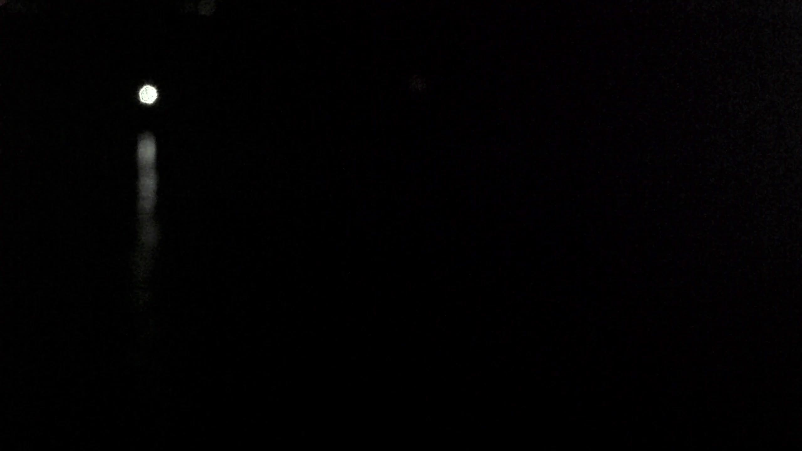 Webcam Image