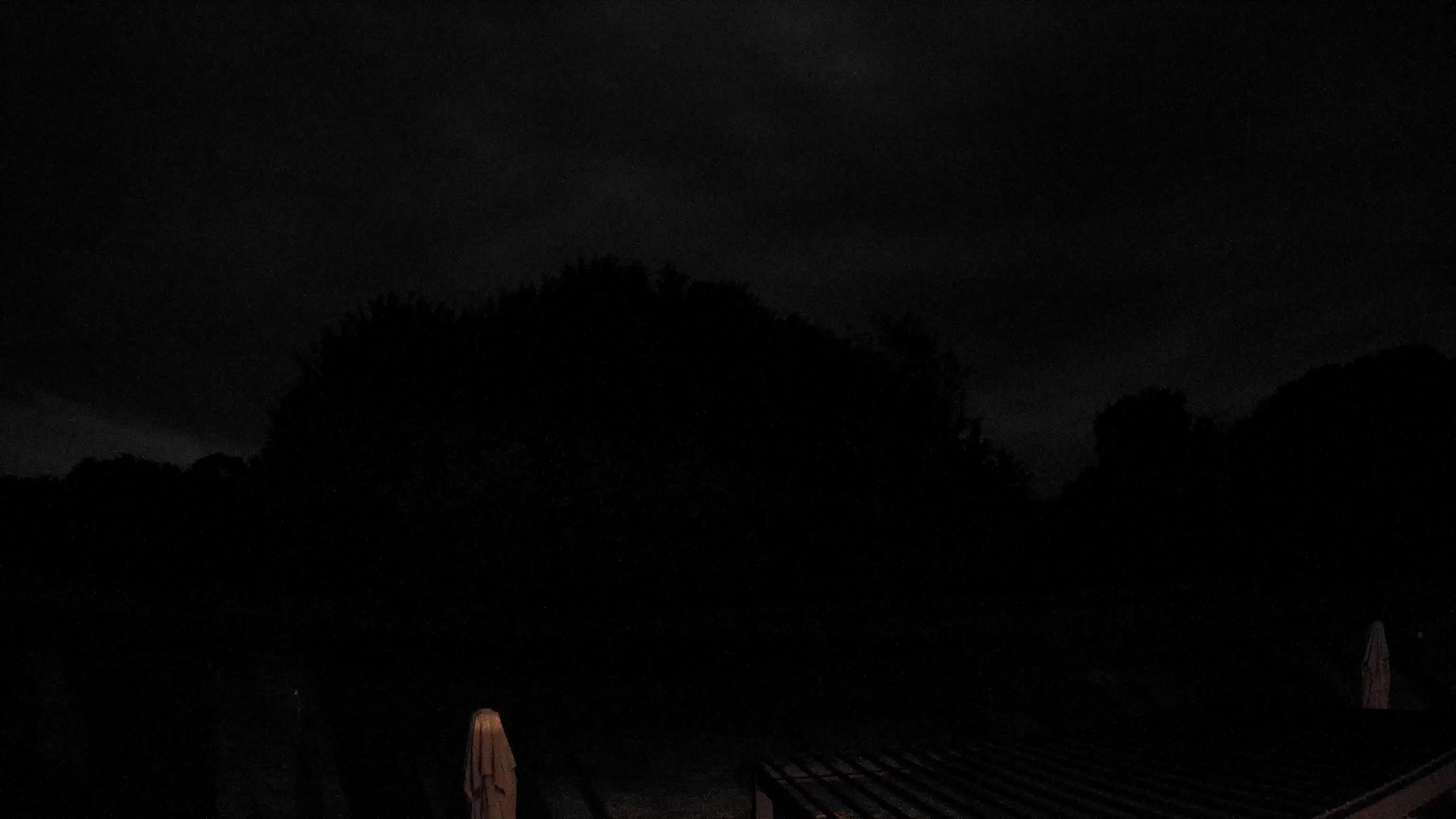 Webcam Image