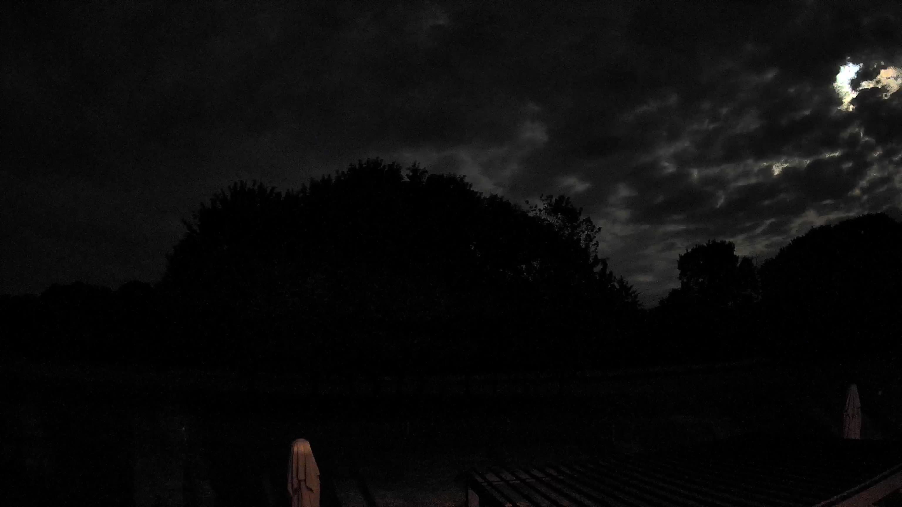 Webcam Image