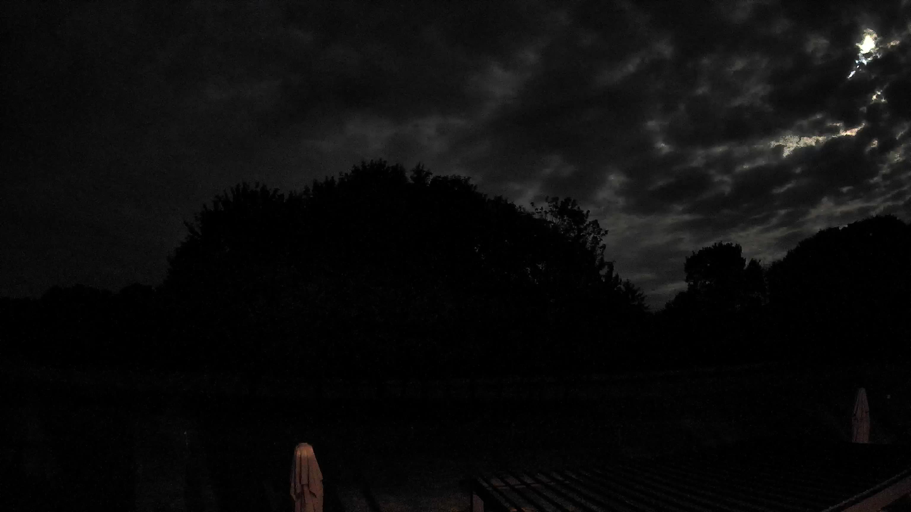 Webcam Image
