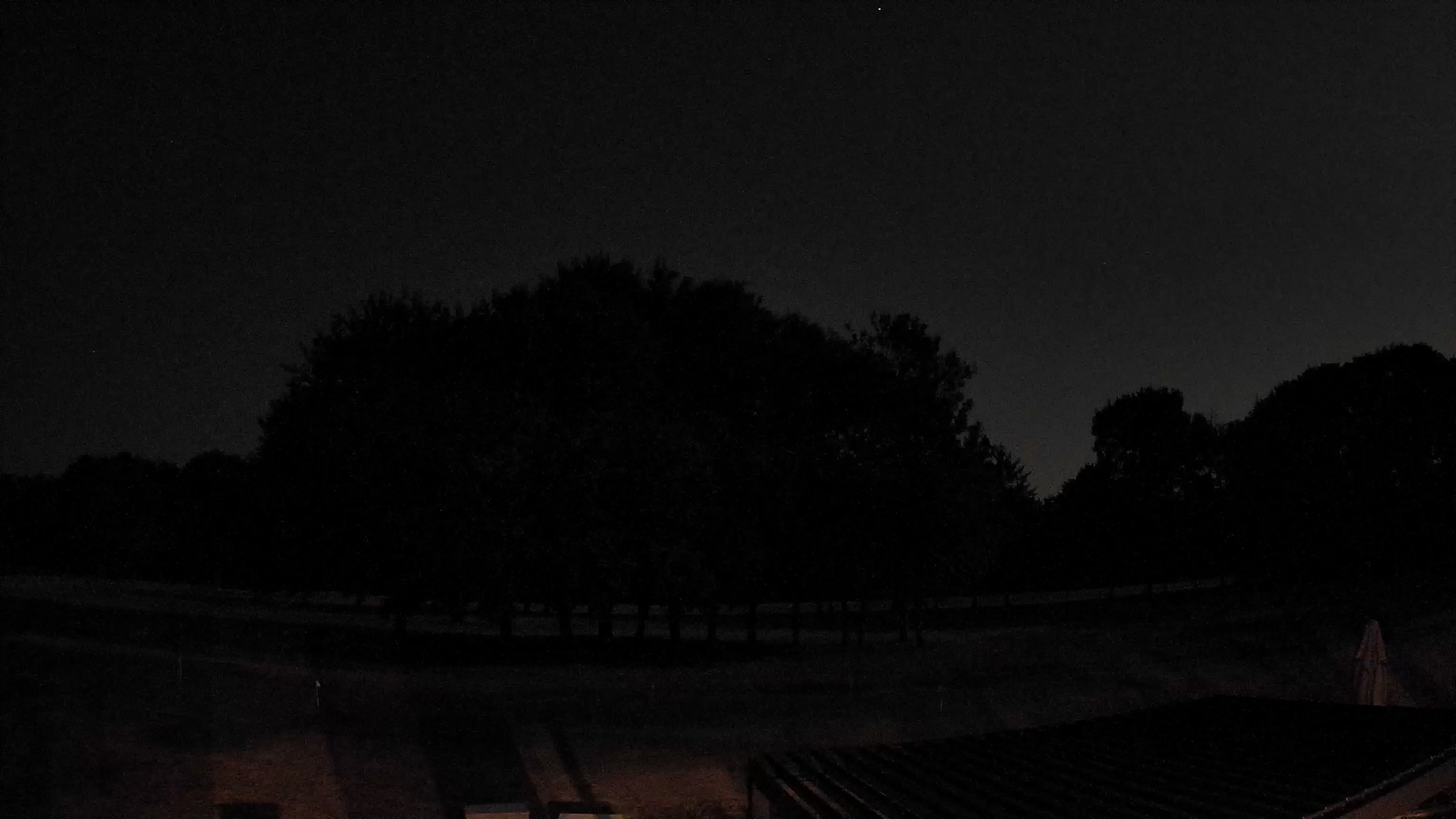 Webcam Image