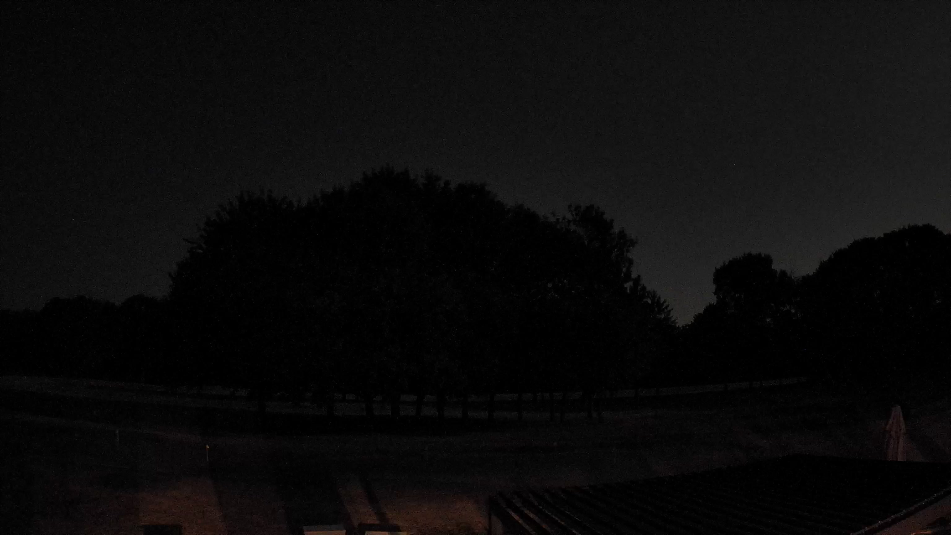 Webcam Image