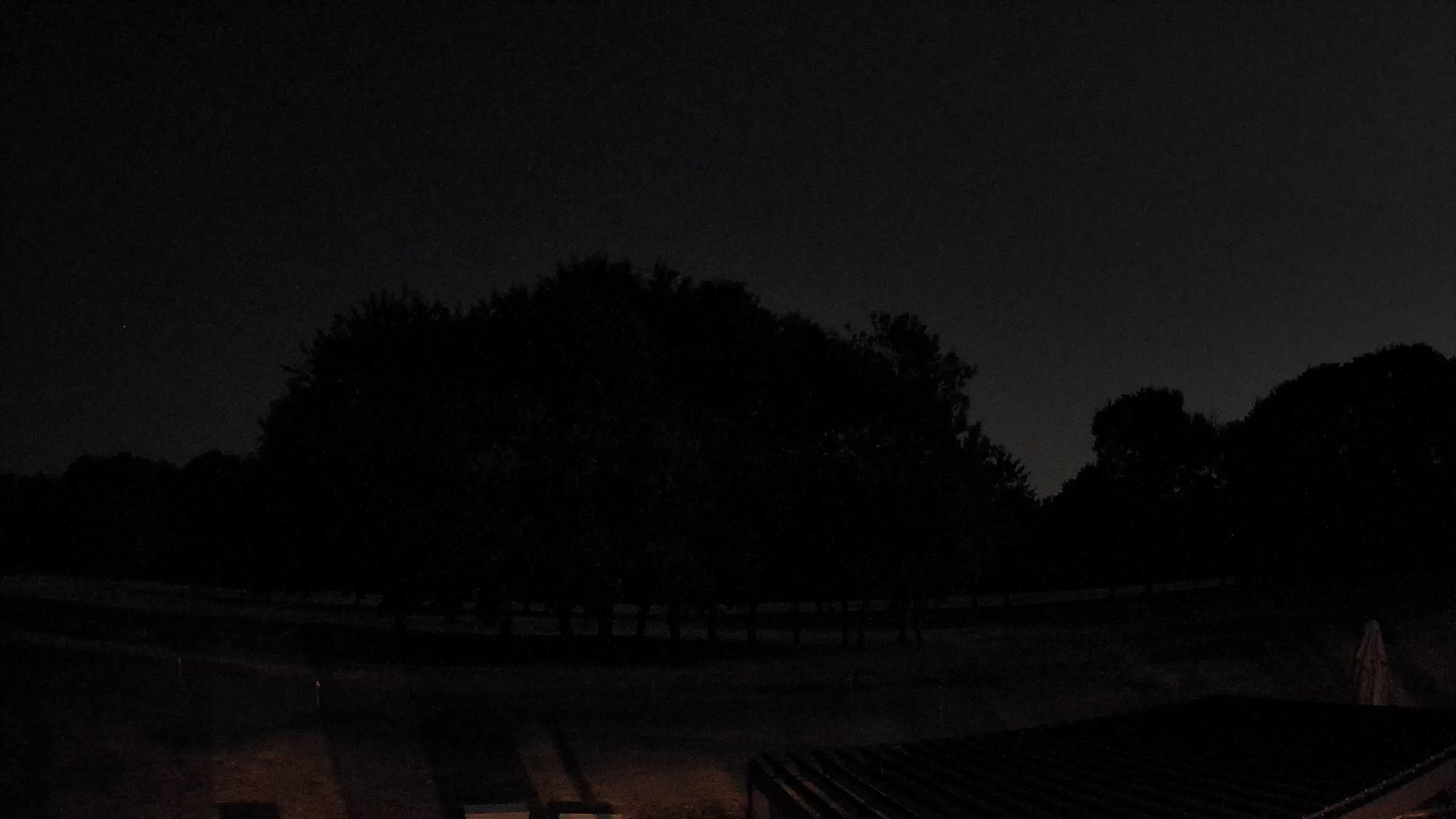 Webcam Image