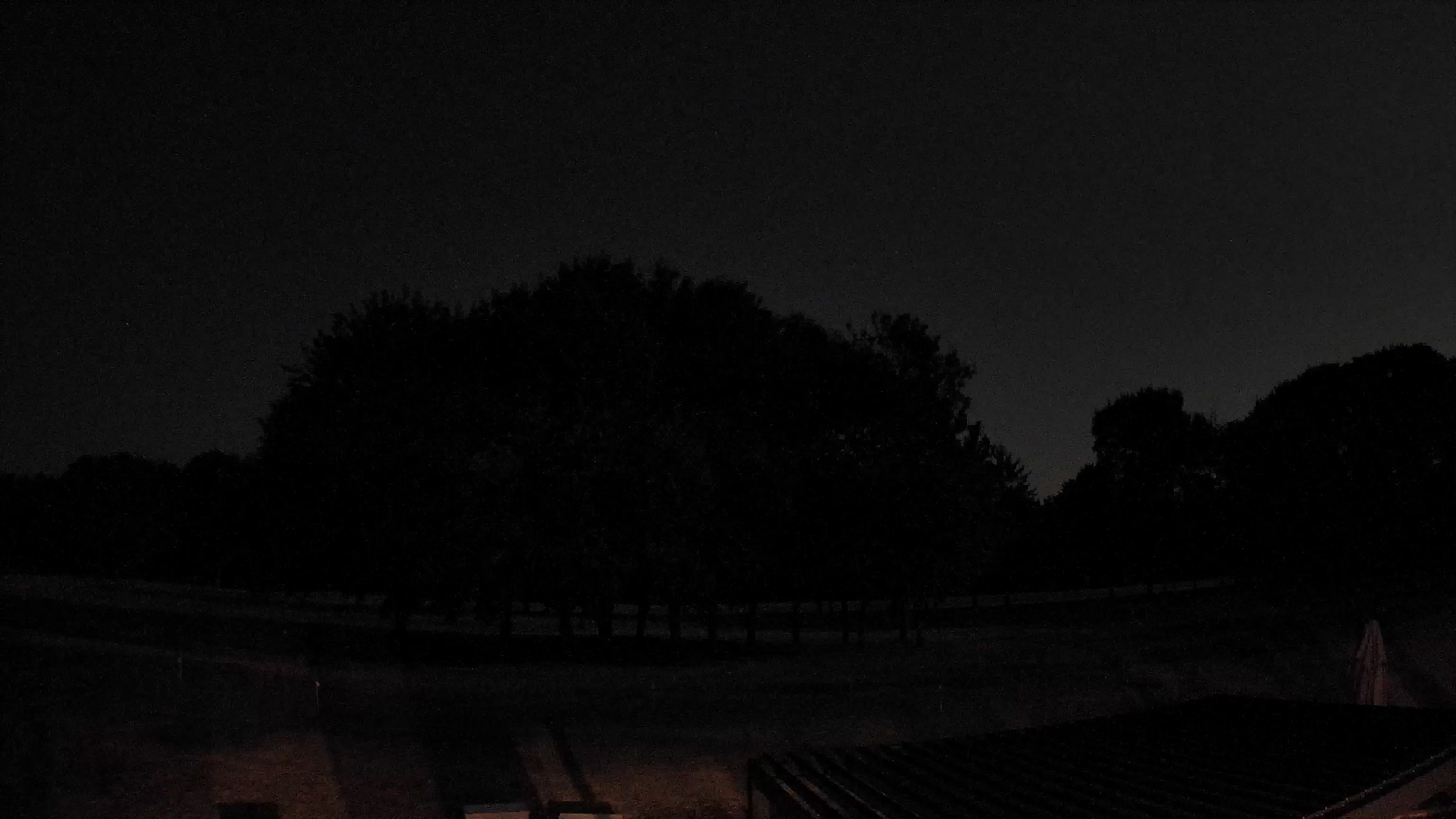 Webcam Image