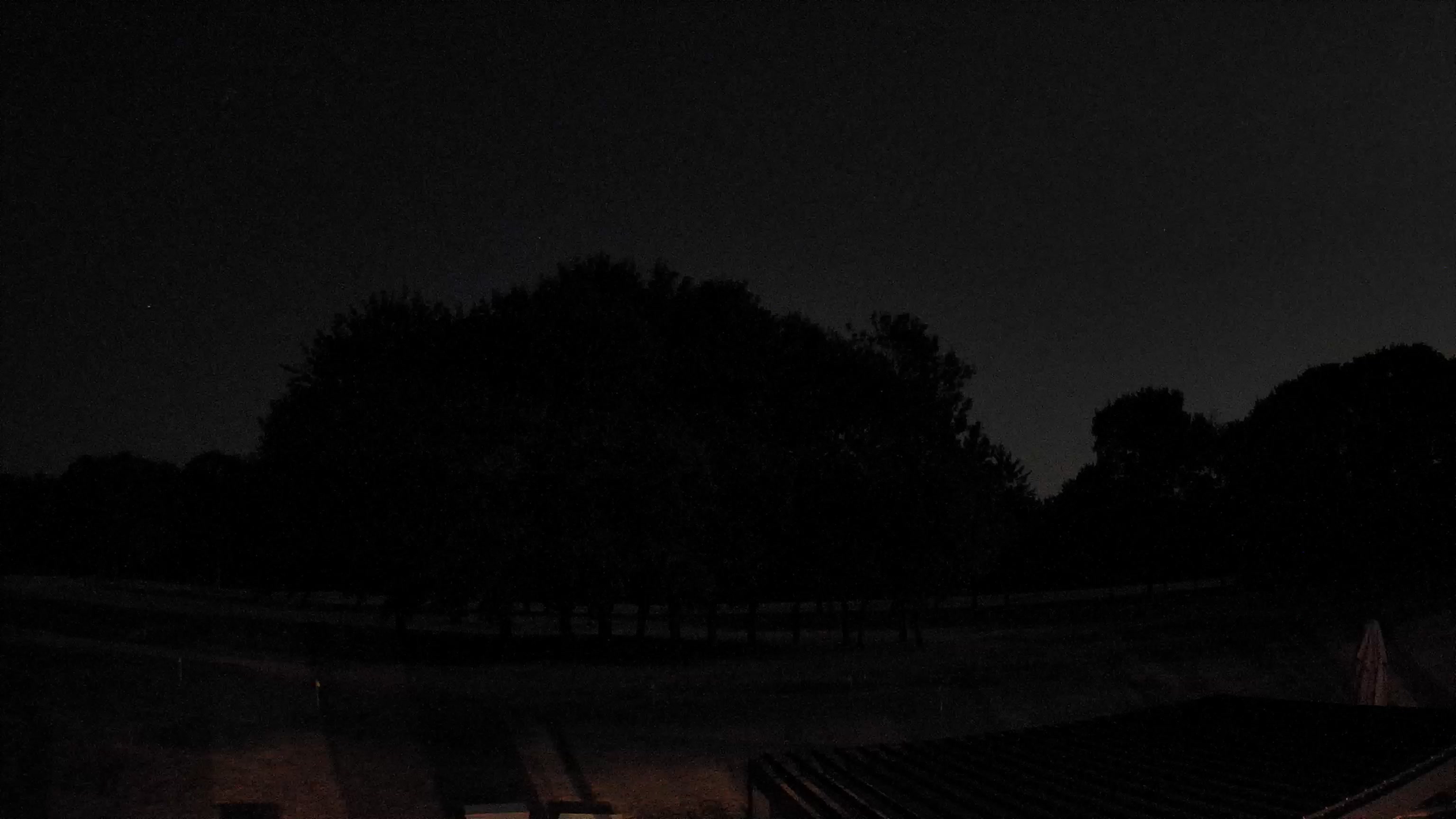 Webcam Image