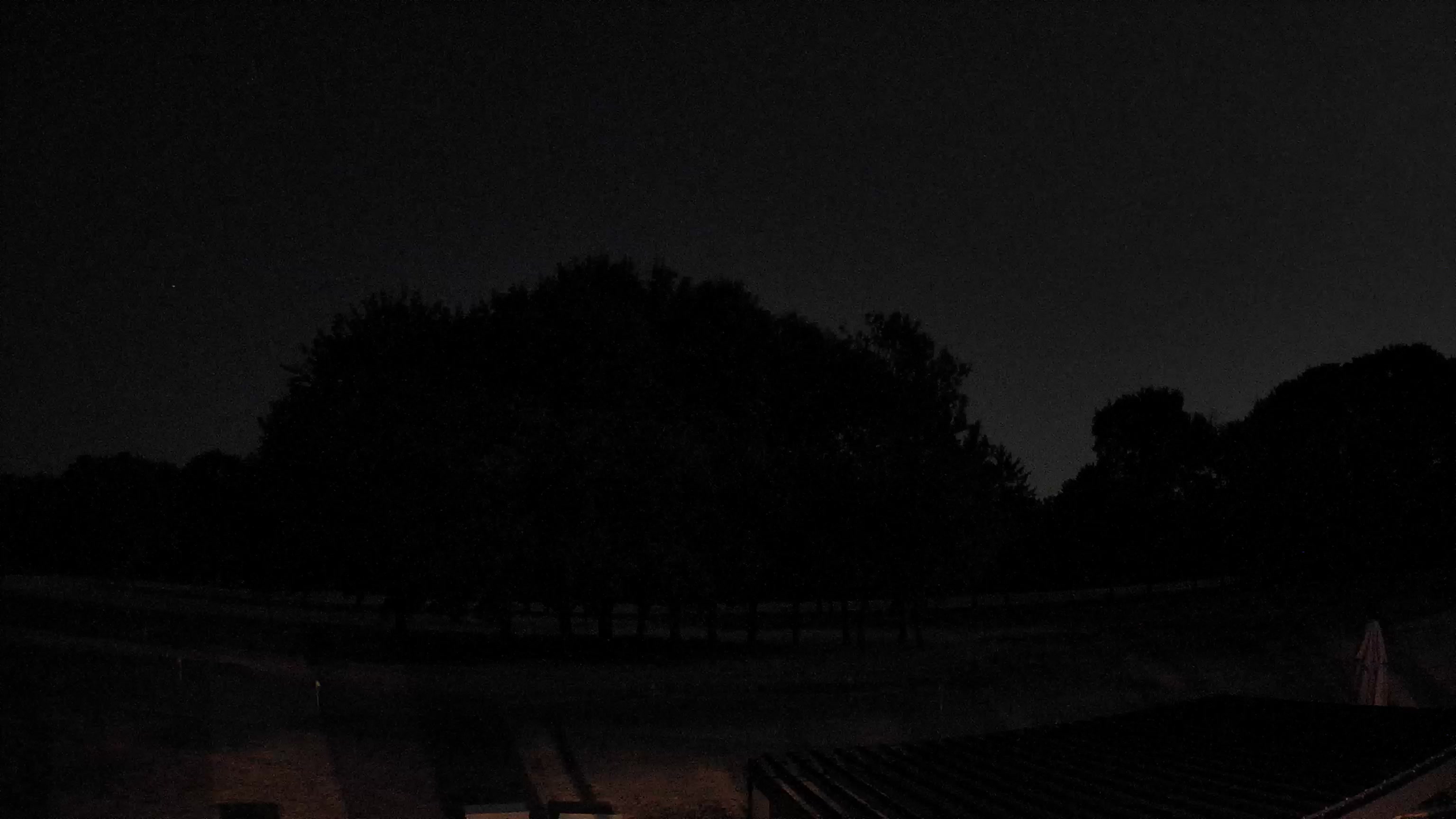Webcam Image